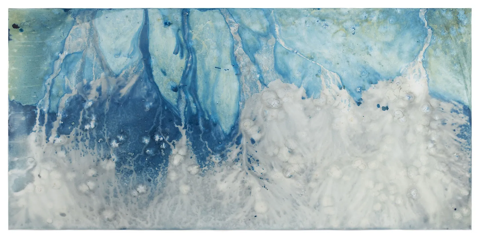 Meghann Riepenhoff Ecotone #1428 (Bainbridge Island, WA 07.04.22, Throughfall and Falling Flowers), 2022 Unique Dynamic Cyanotype 46.25 x 91.25 inches,...