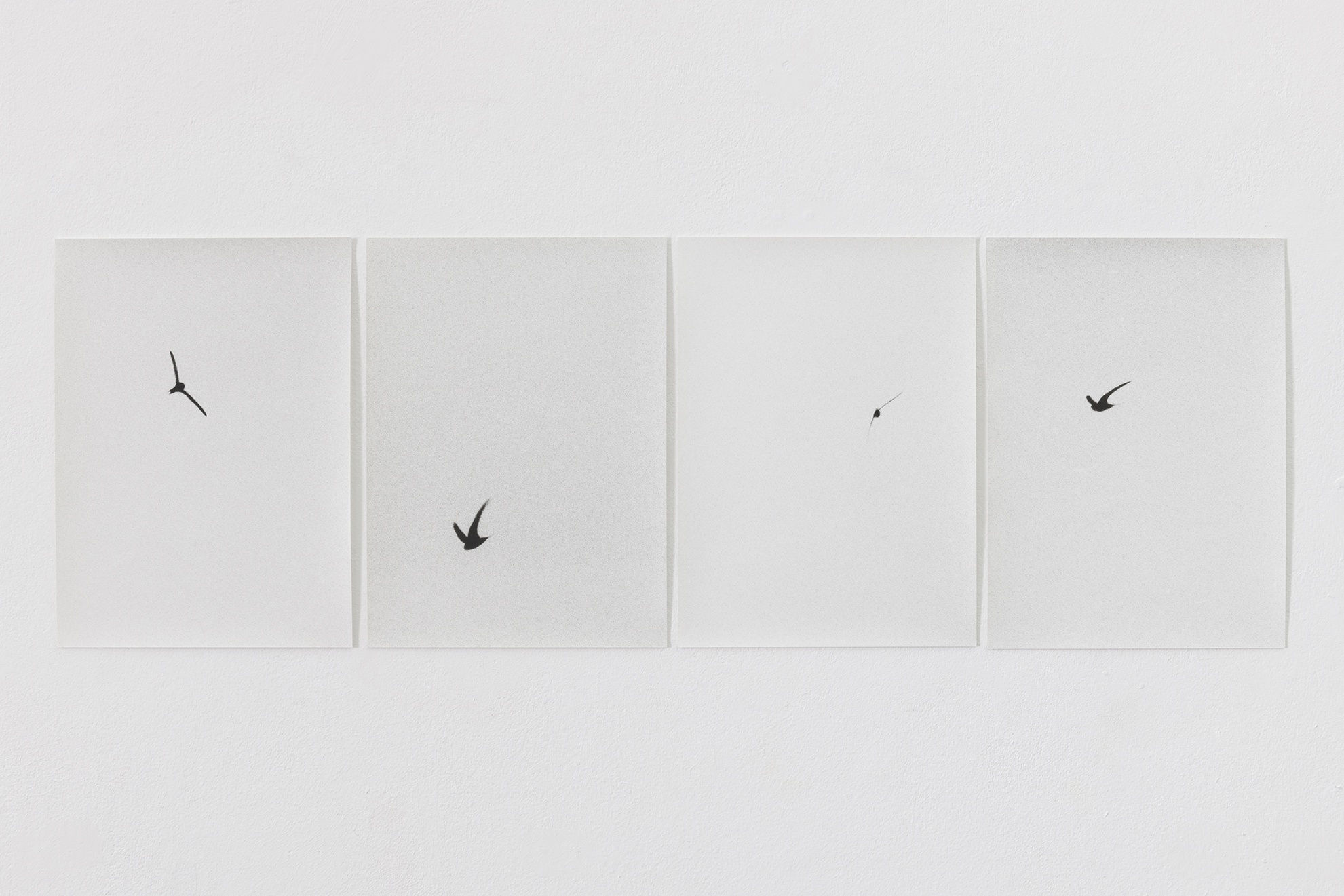 JOCHEN LEMPERT, APUS APUS, 2017