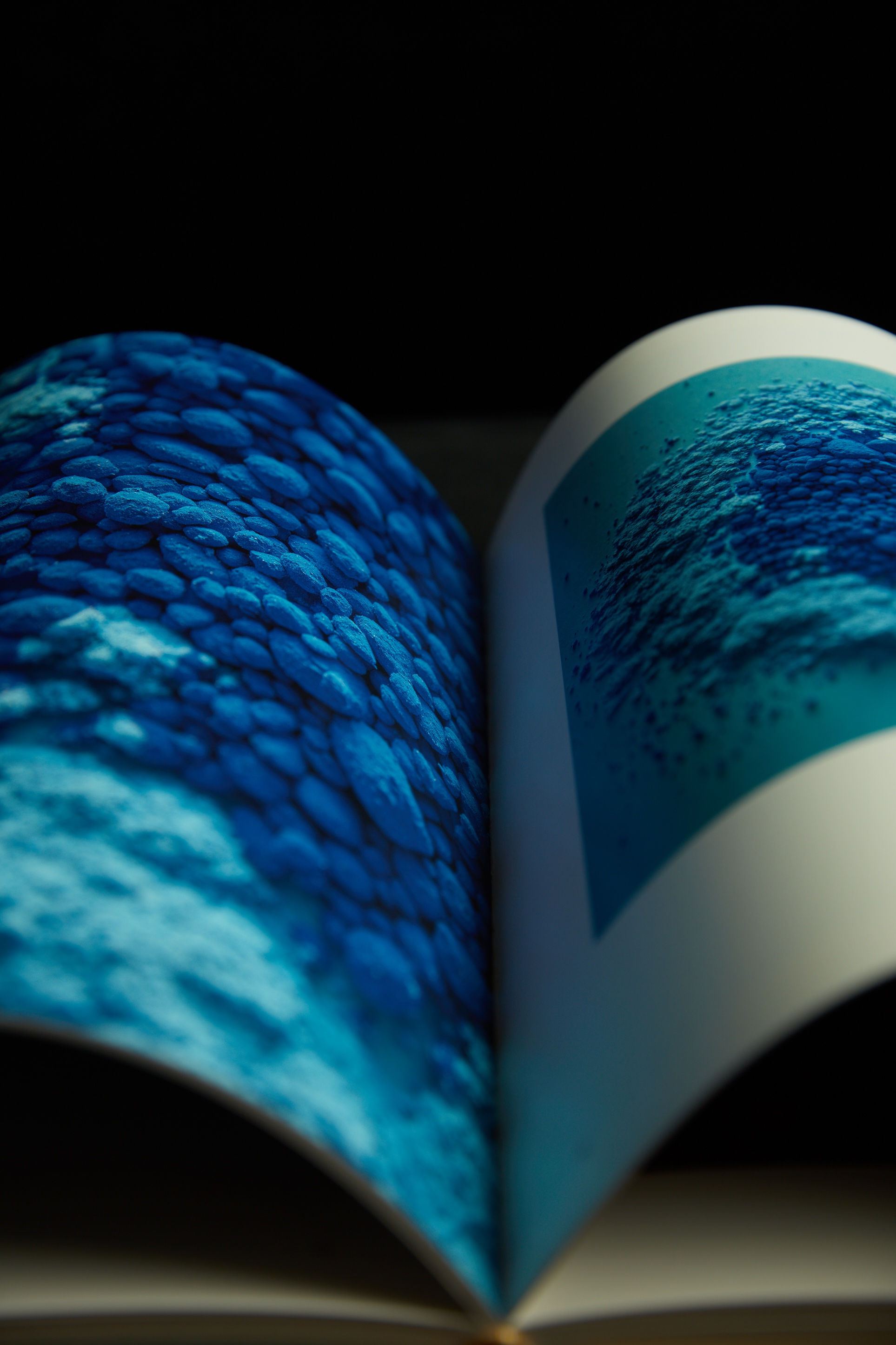 Art Book 'Flowing Forms', BY DANIEL MATTAR