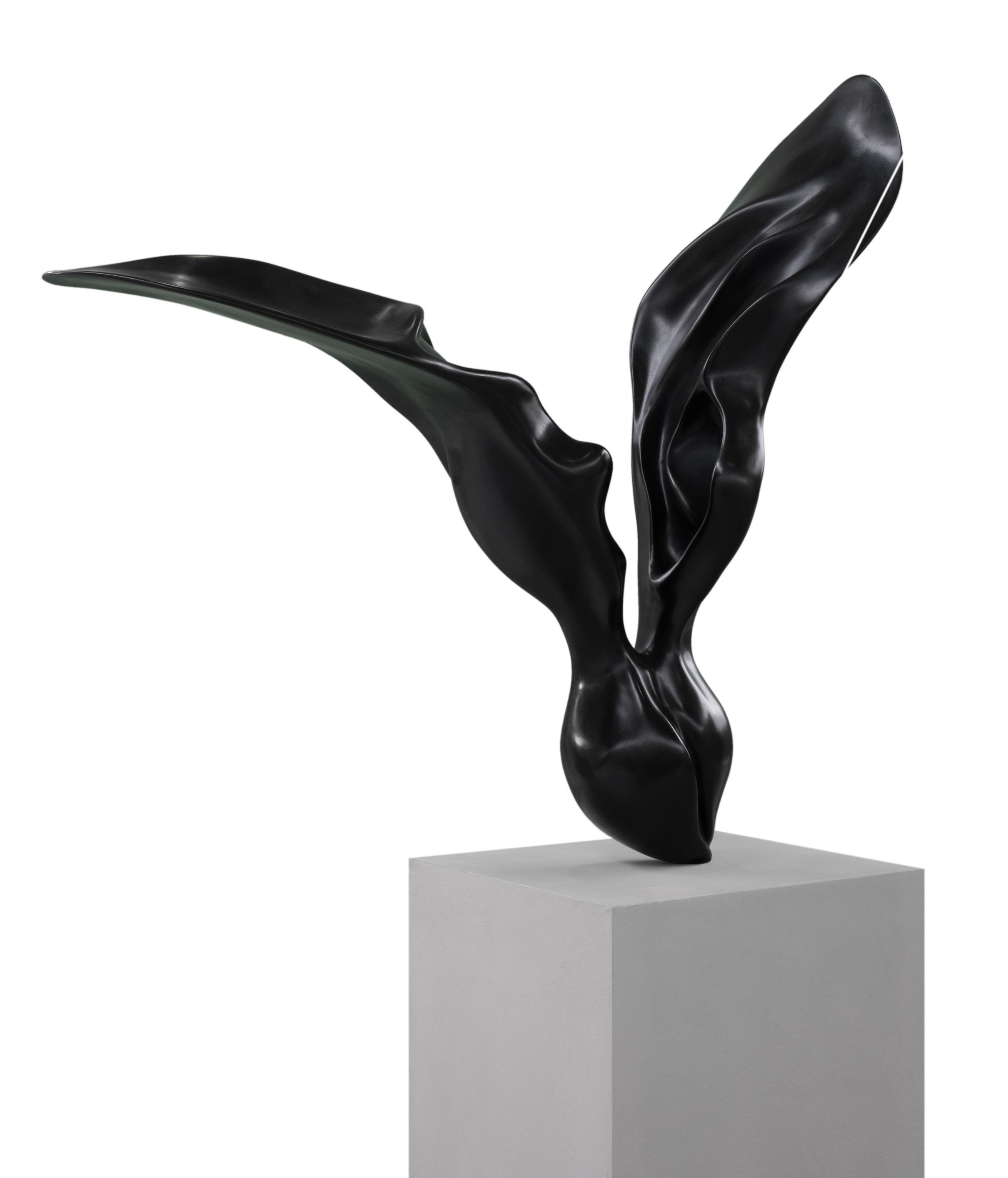 Pulse II , Nabız II