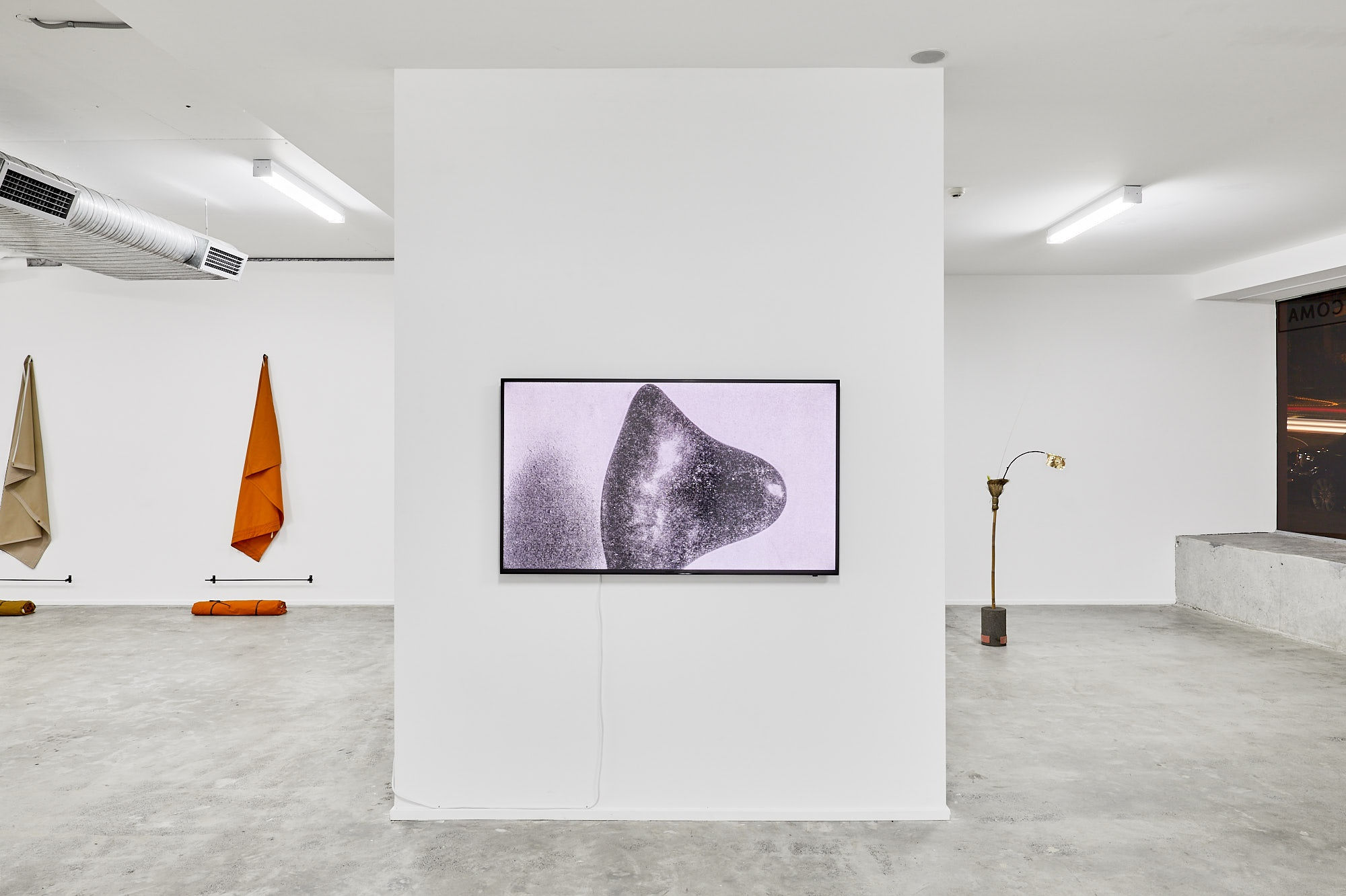 Gabriel Rico concerns himself with the nature, architecture and future of the area in which he lives or works. Rico...