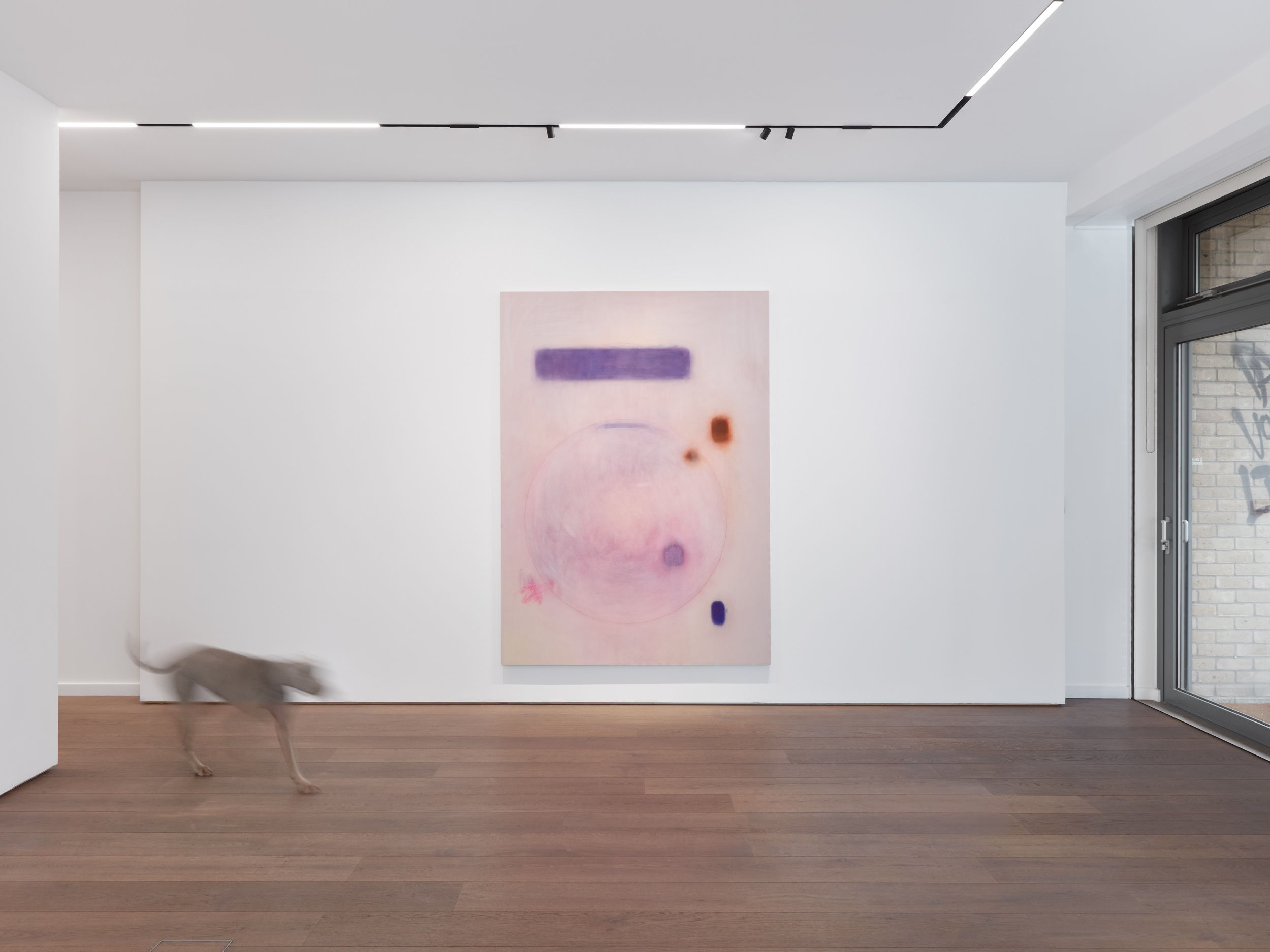 Installation view: Margarita Gluzberg: Otherwhere, Alma Pearl, London, 2023. Photo: Ollie Hammick