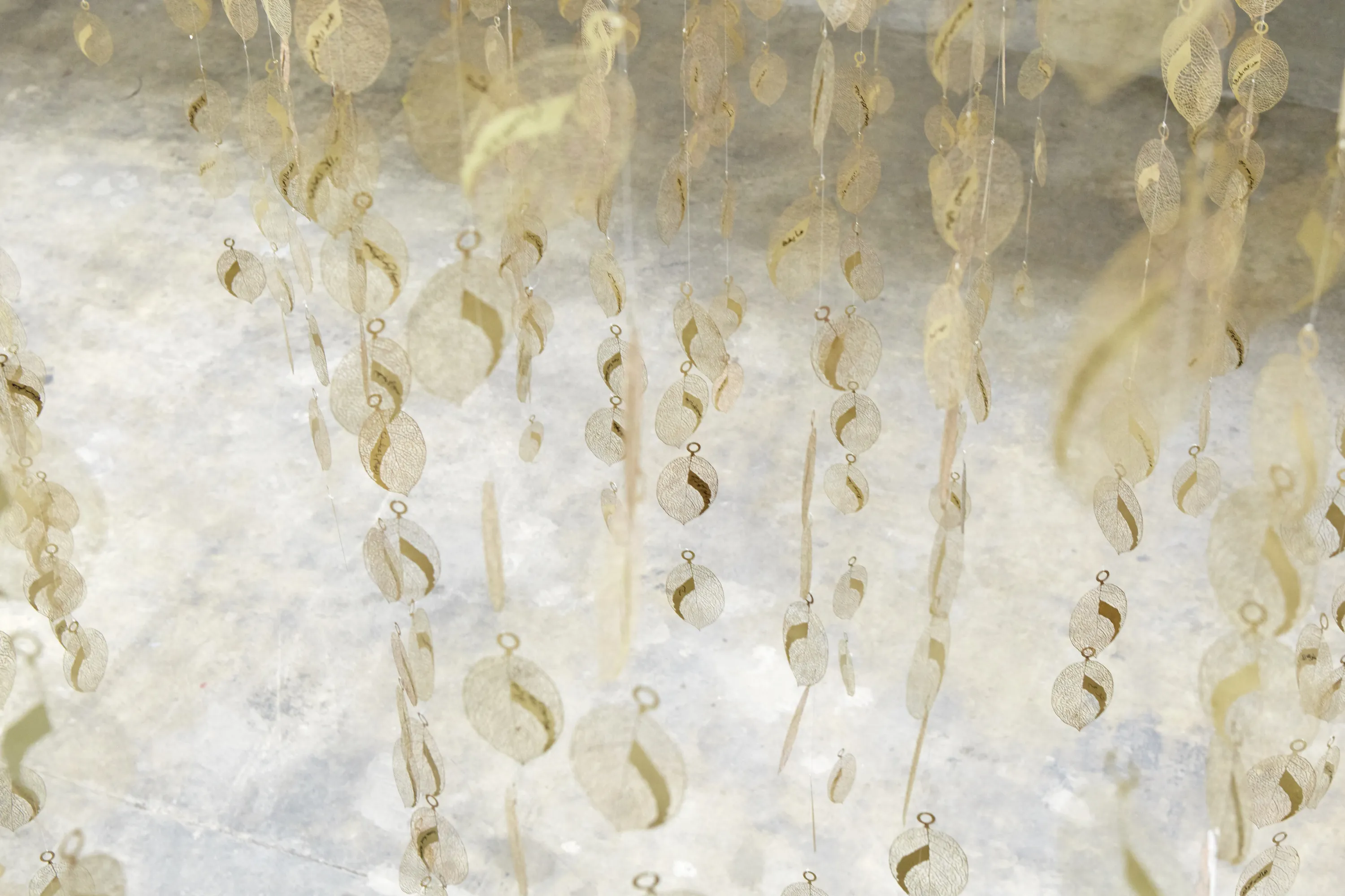 Finally, while the installation must of necessity be located in a particular place, the work is also designed to be...