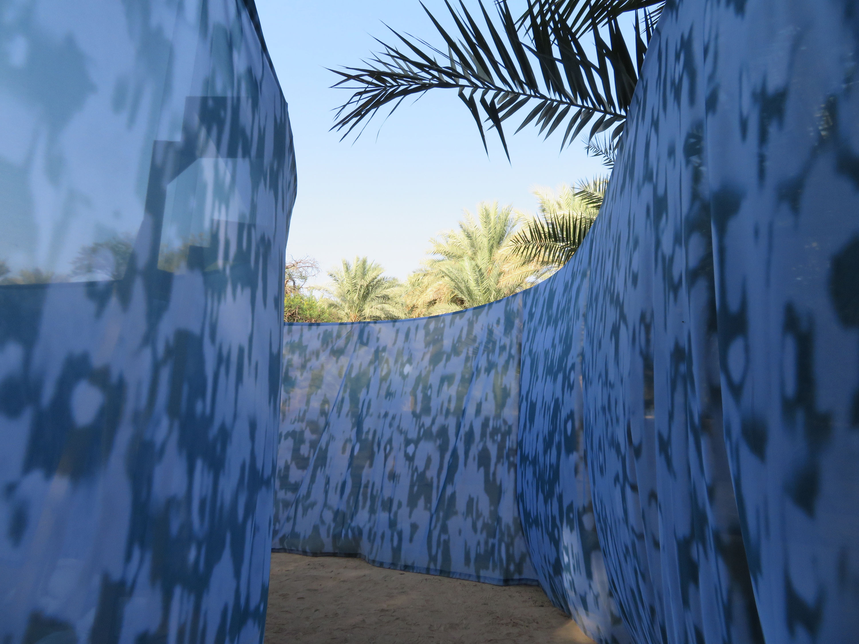 The women in my family talk to their palm trees. These are intelligent, sane, religious women that I am talking...