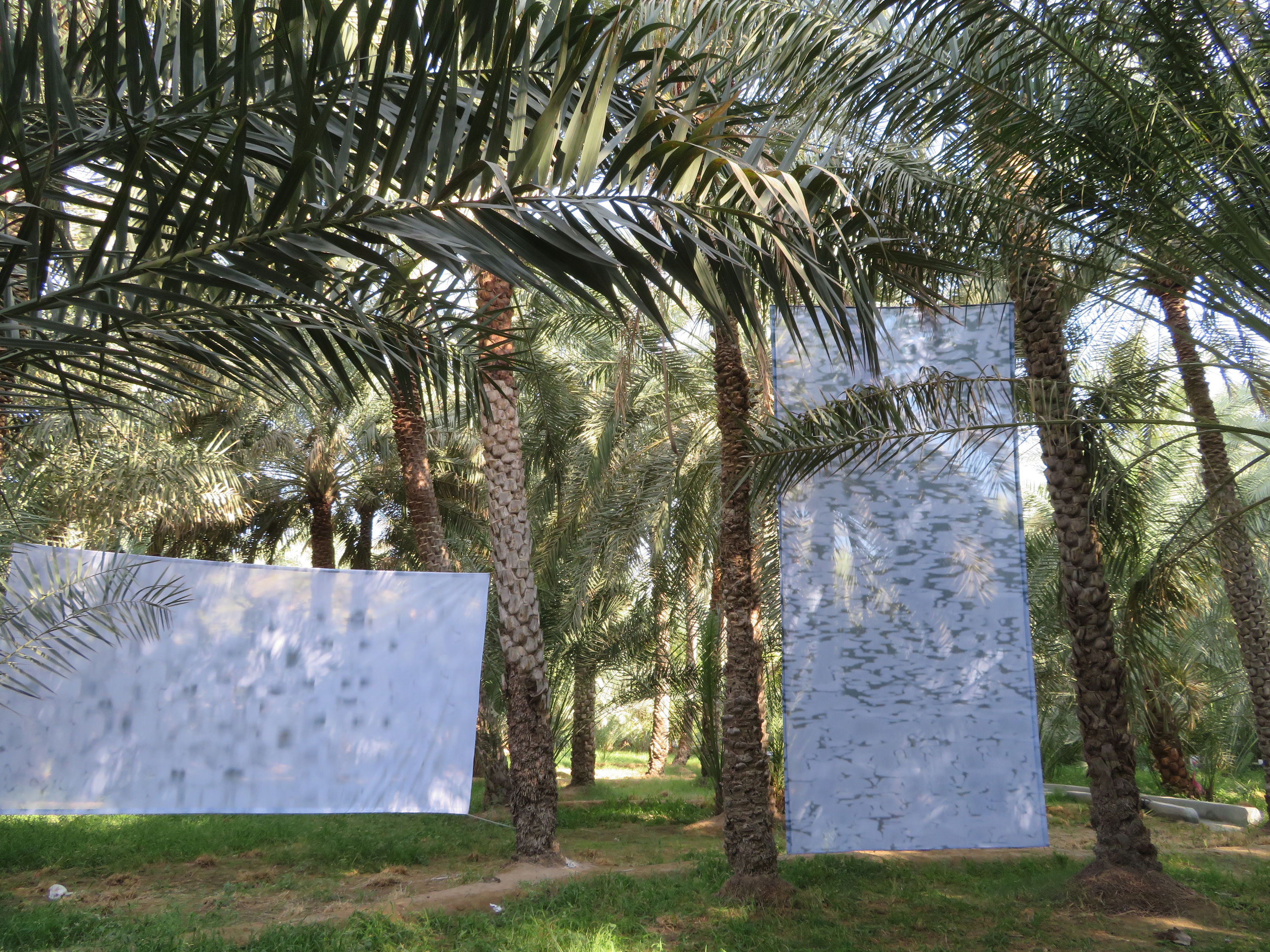 In this artwork I will search for the unseen universe of the date palm oasis, by examining the unseen in...