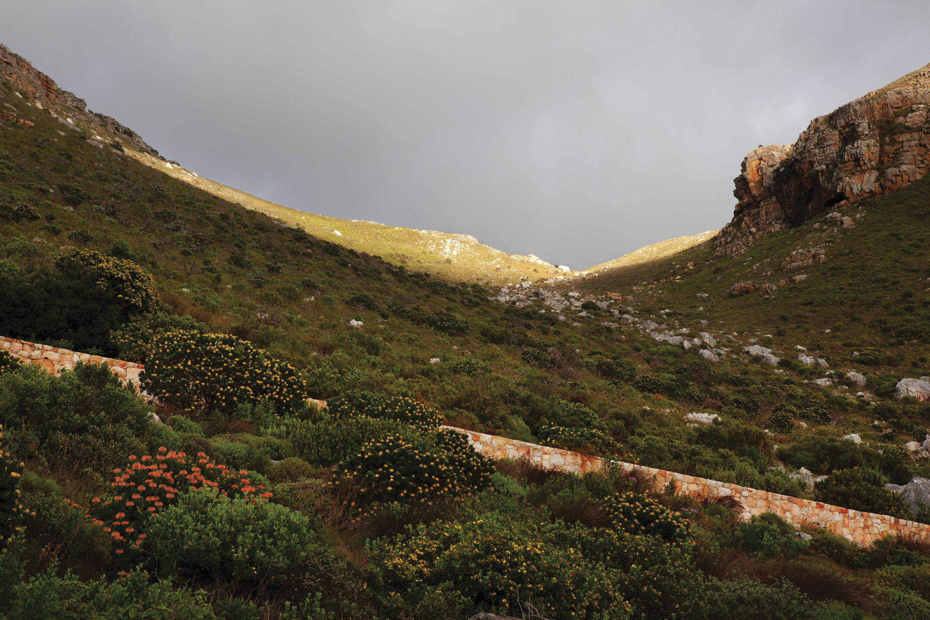 A non-stop church meets every day on Pecks Peak behind Muizenberg in Cape Town. The group is mainly from Burundi...