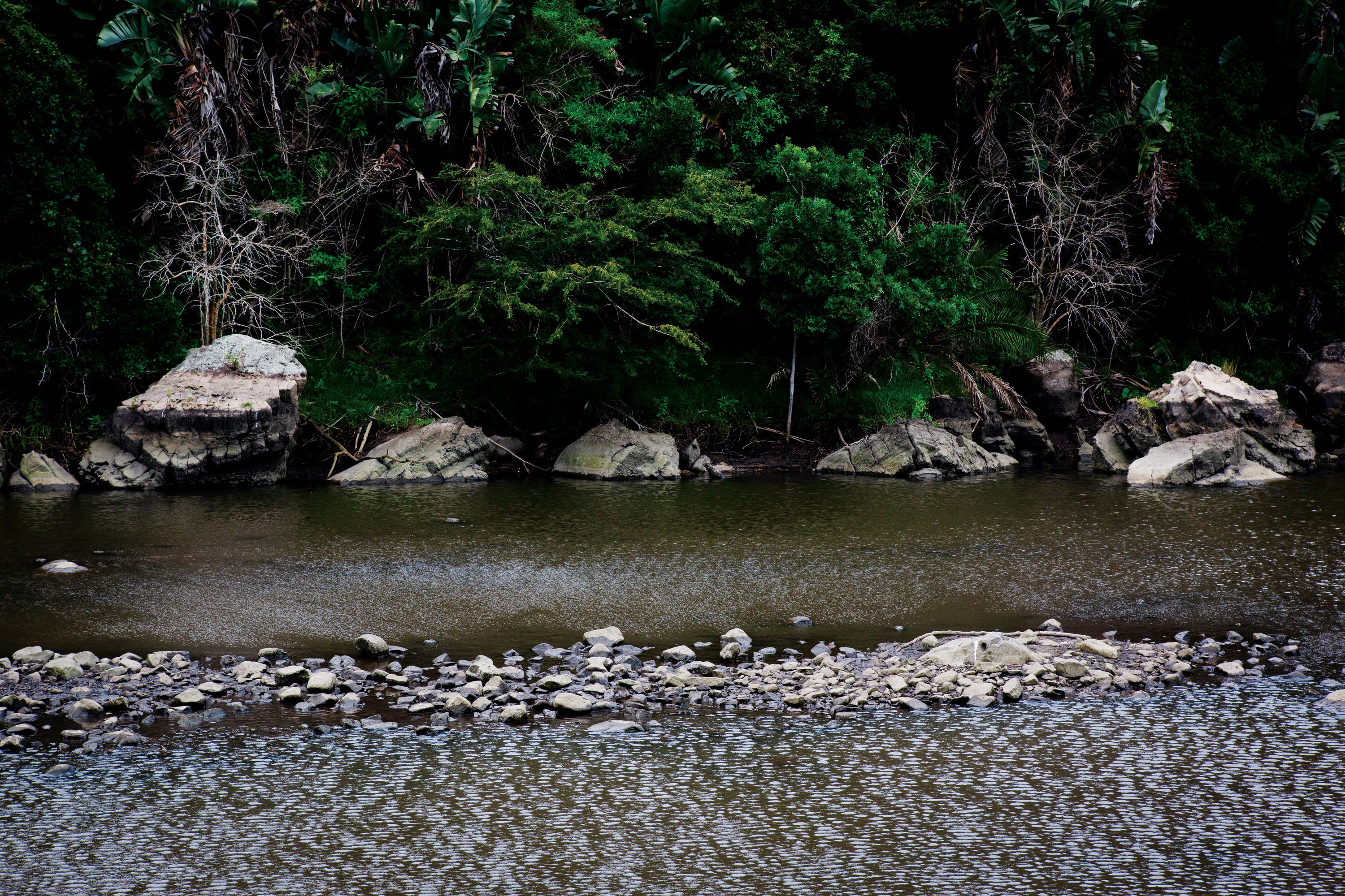 In the mid-19th century, the Xhosa prophetess Nongqawuse received revelations from her ancestors at the Gxarha river mouth valley that...
