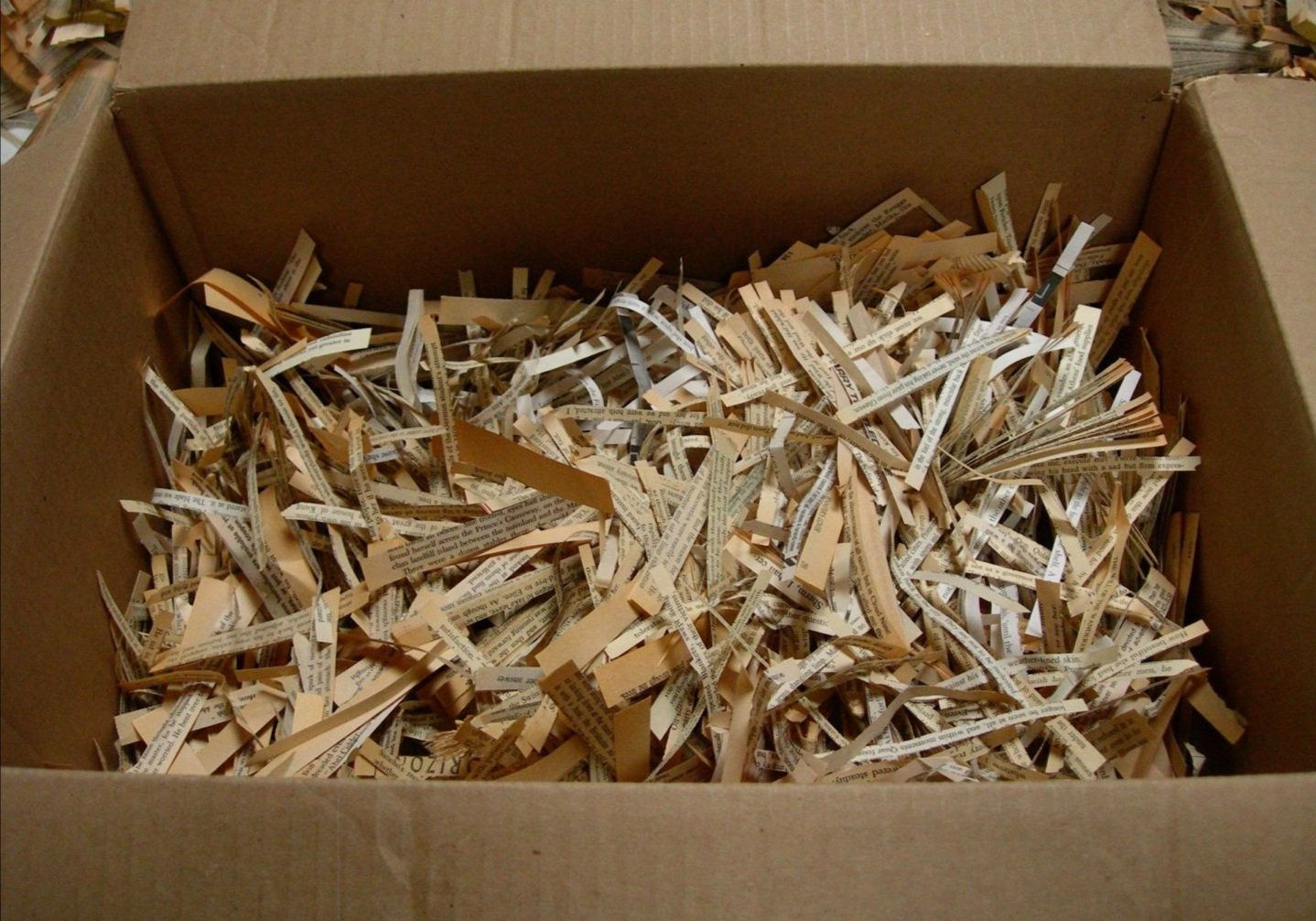 Collected word cut-outs from books, used in the book endpaper collages. Image provide by the artist.