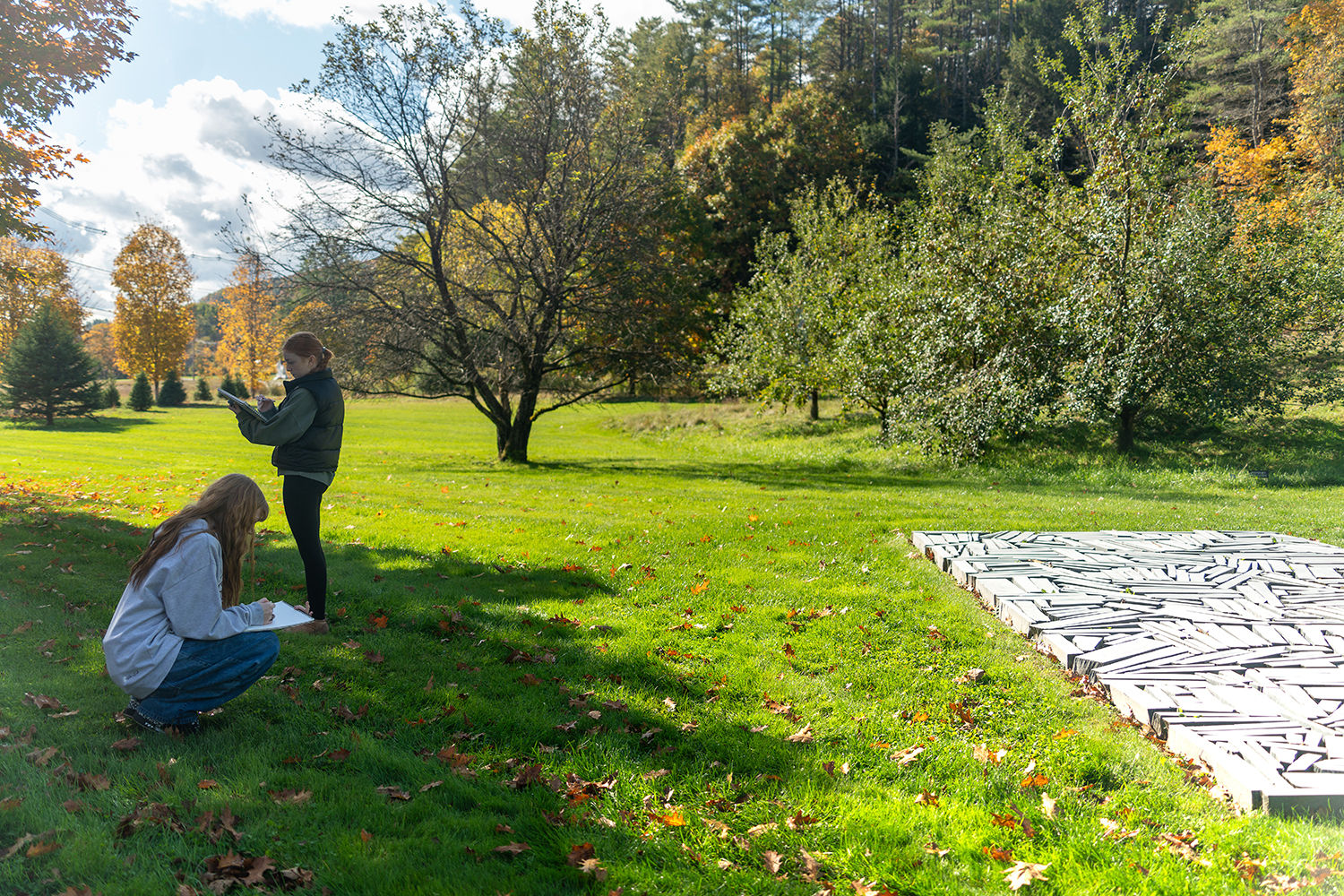 SCHOOL GROUPS WELCOME!