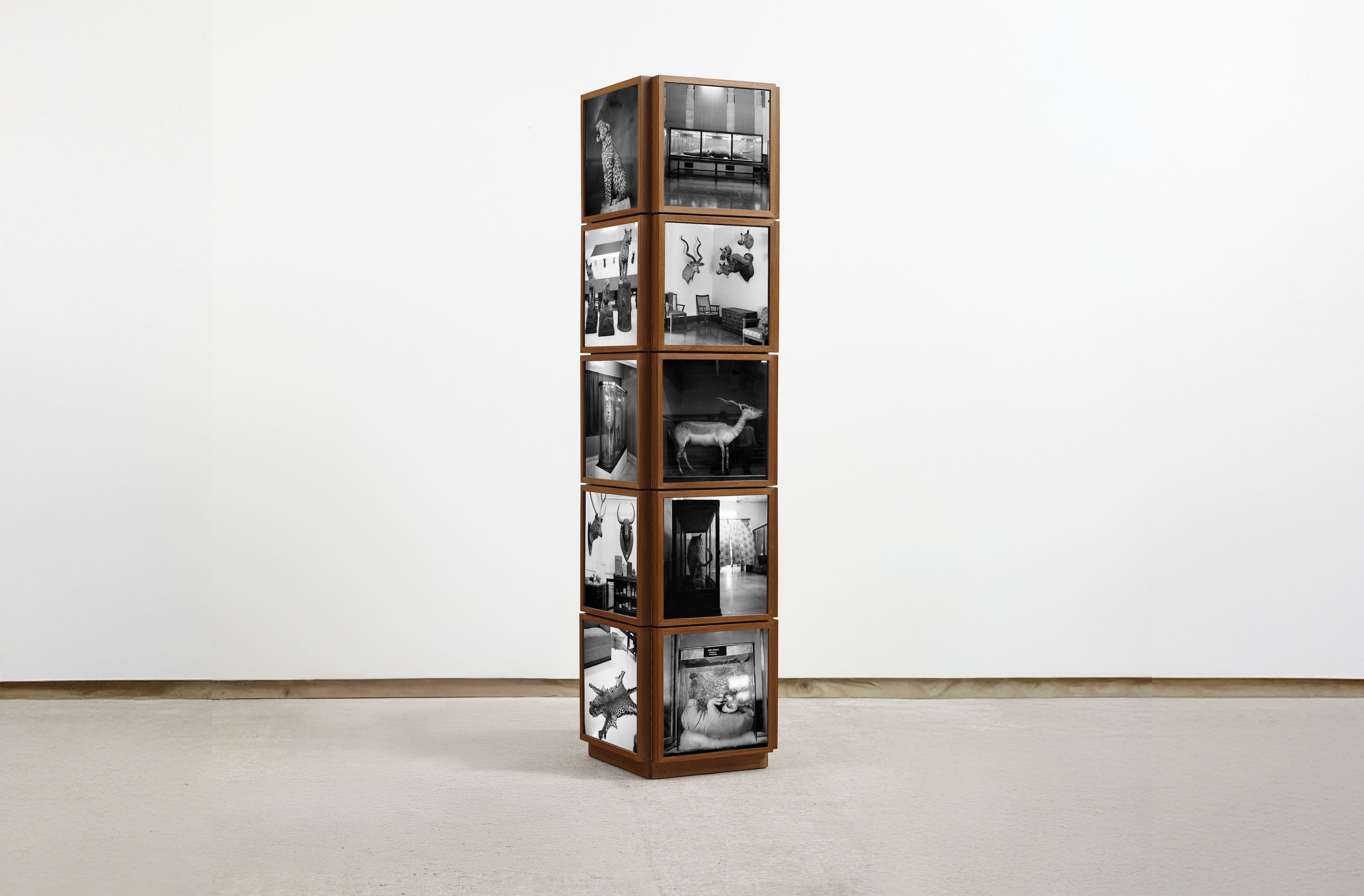 Wildlife of India, 2024