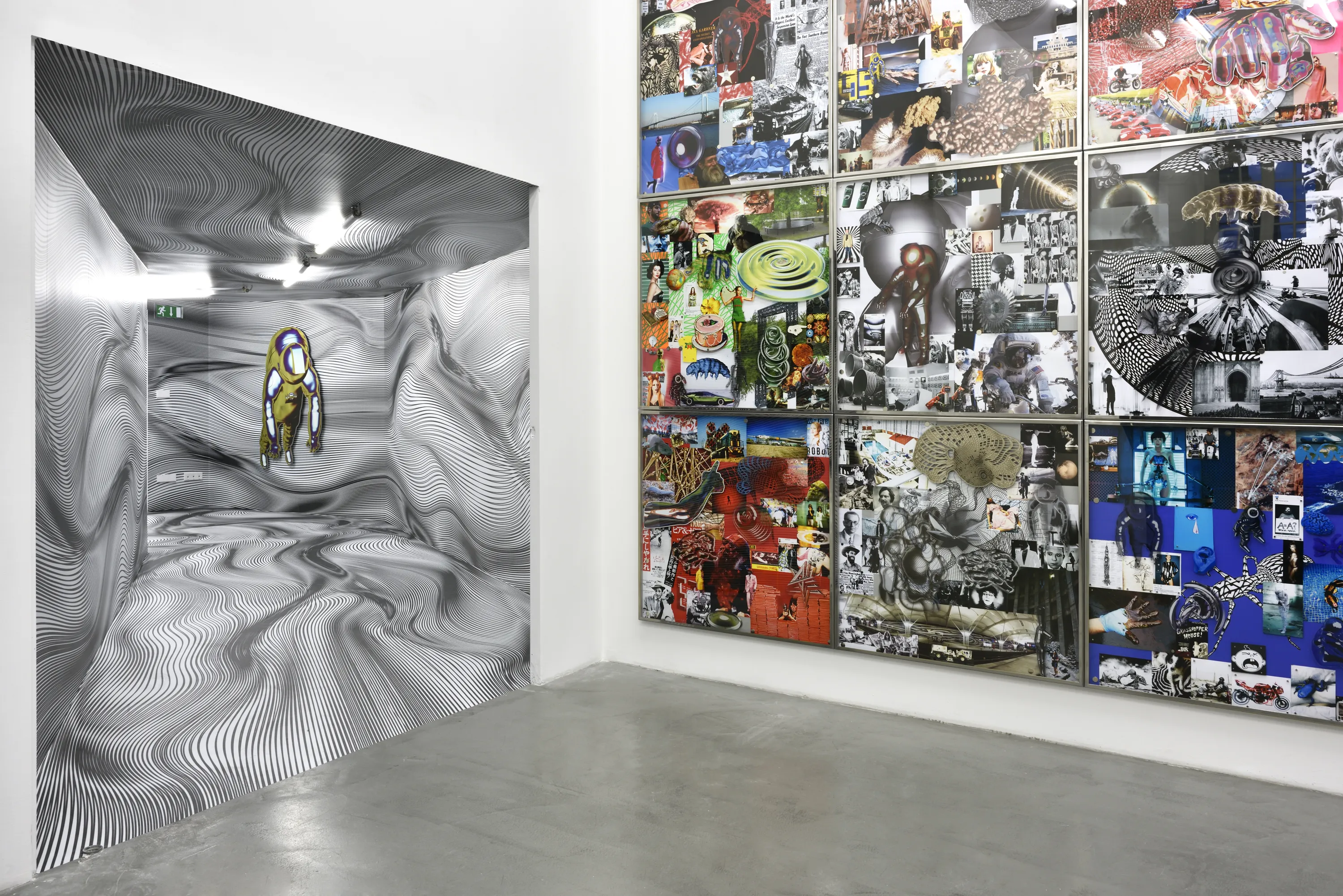 Peter Kogler est un artiste pionnier de la création assistée par ordinateur. Toujours à la pointe de la technologie, il...