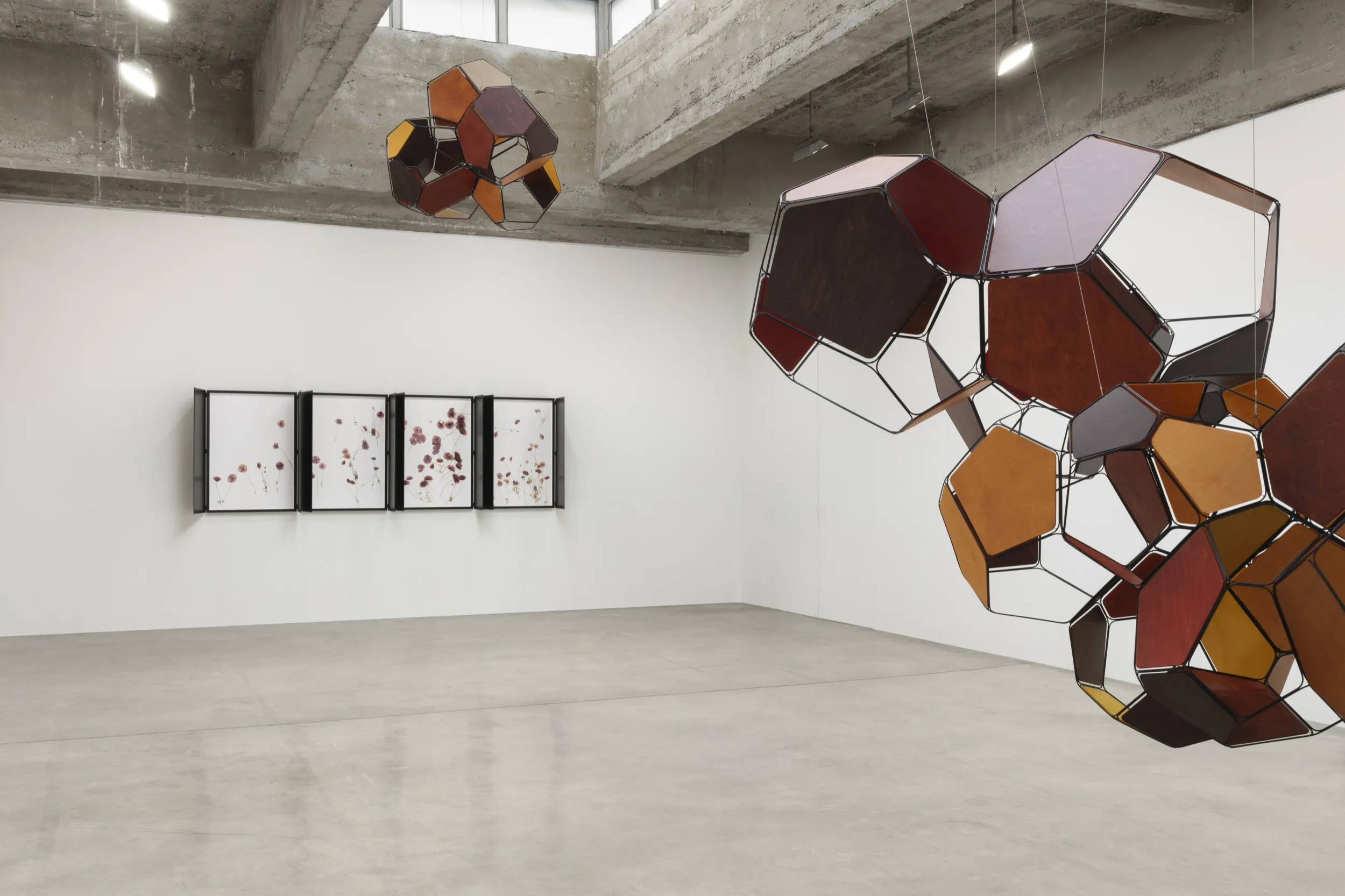 hanging sculptures and pressed flowers works in frame