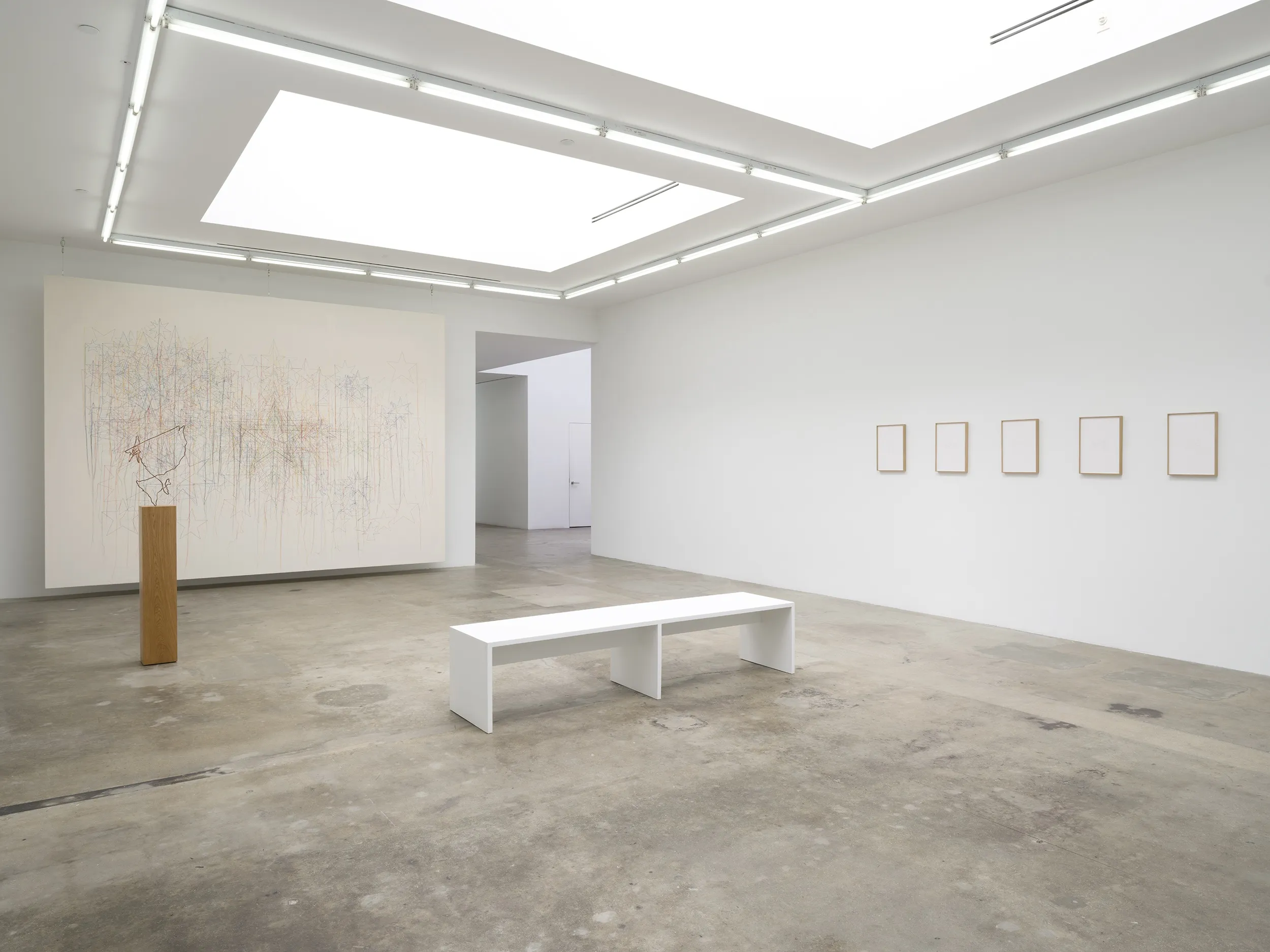 Installation view of Shilpa Gupta Some suns fell off