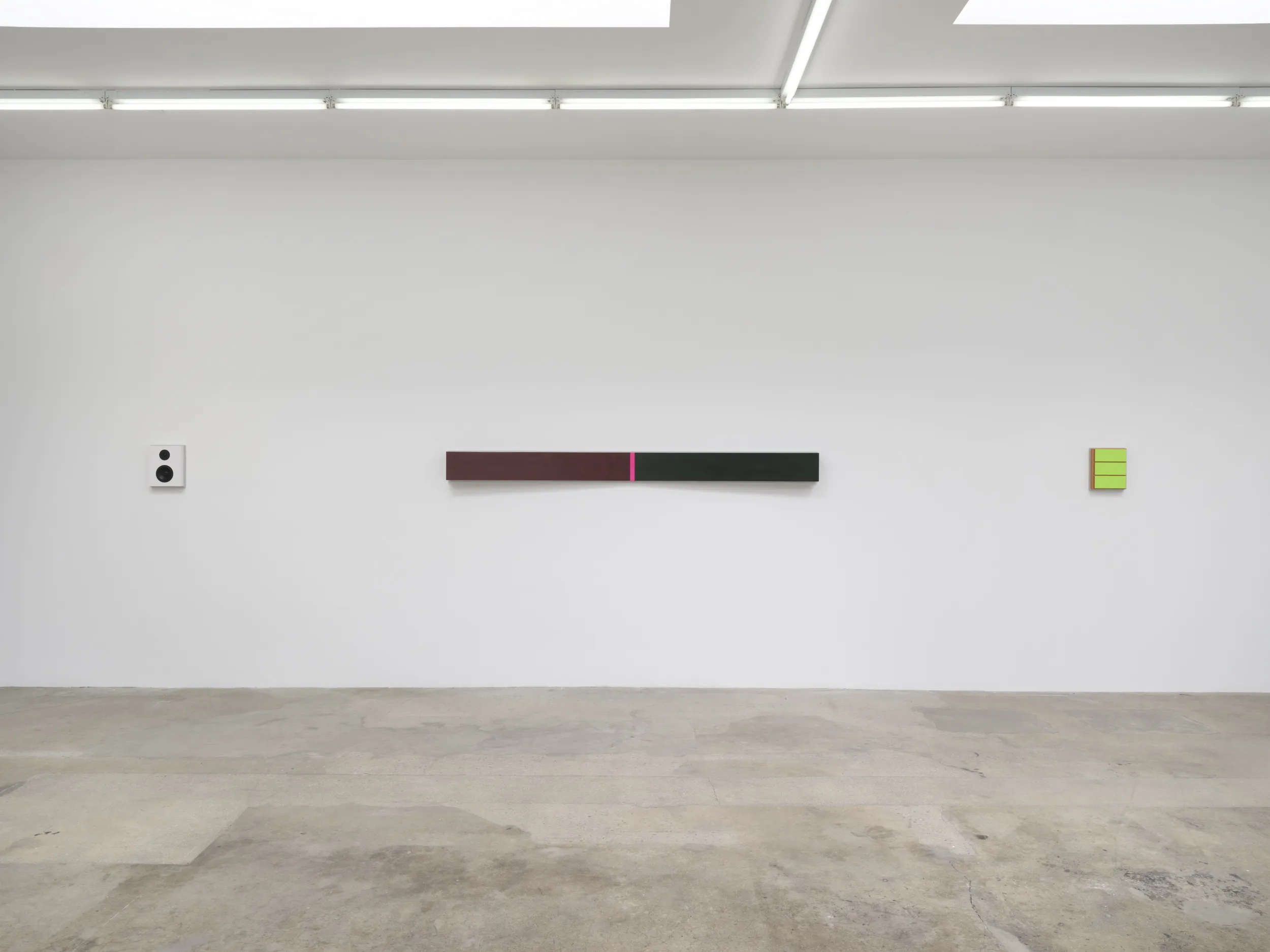 installation image of lisa williamson in LA