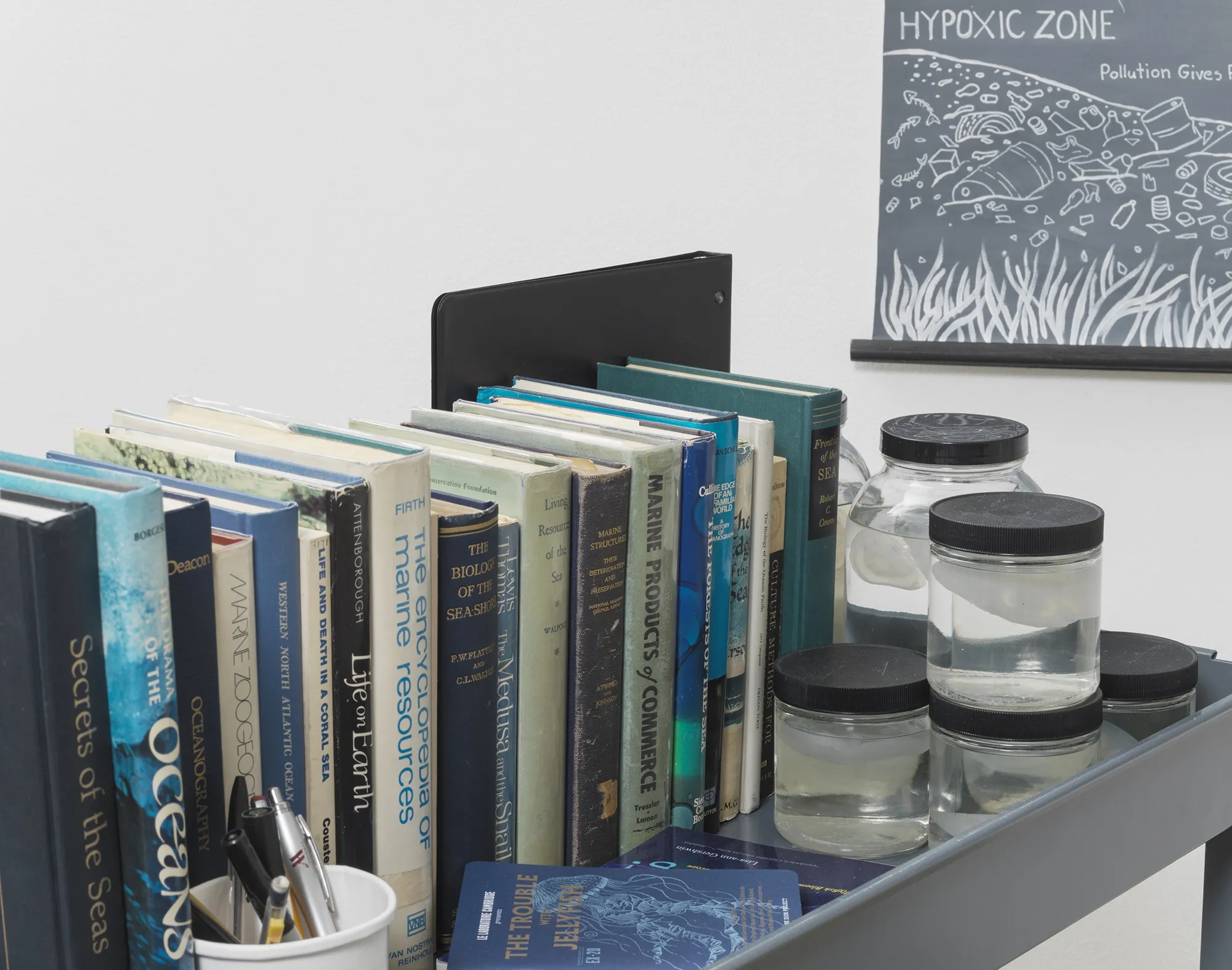 Jellyfish installation with chalkboard and cart