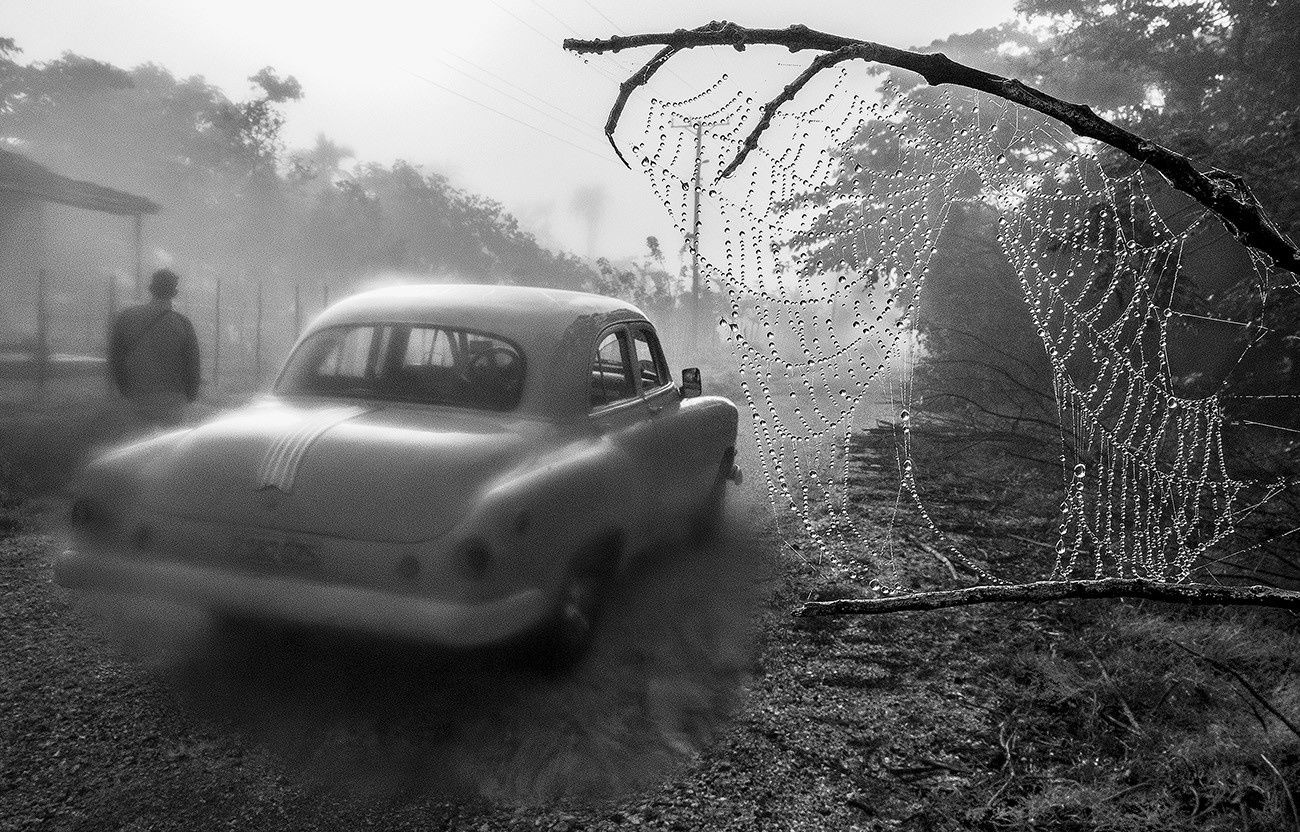 Julie CockburnWinter Edition, 2023