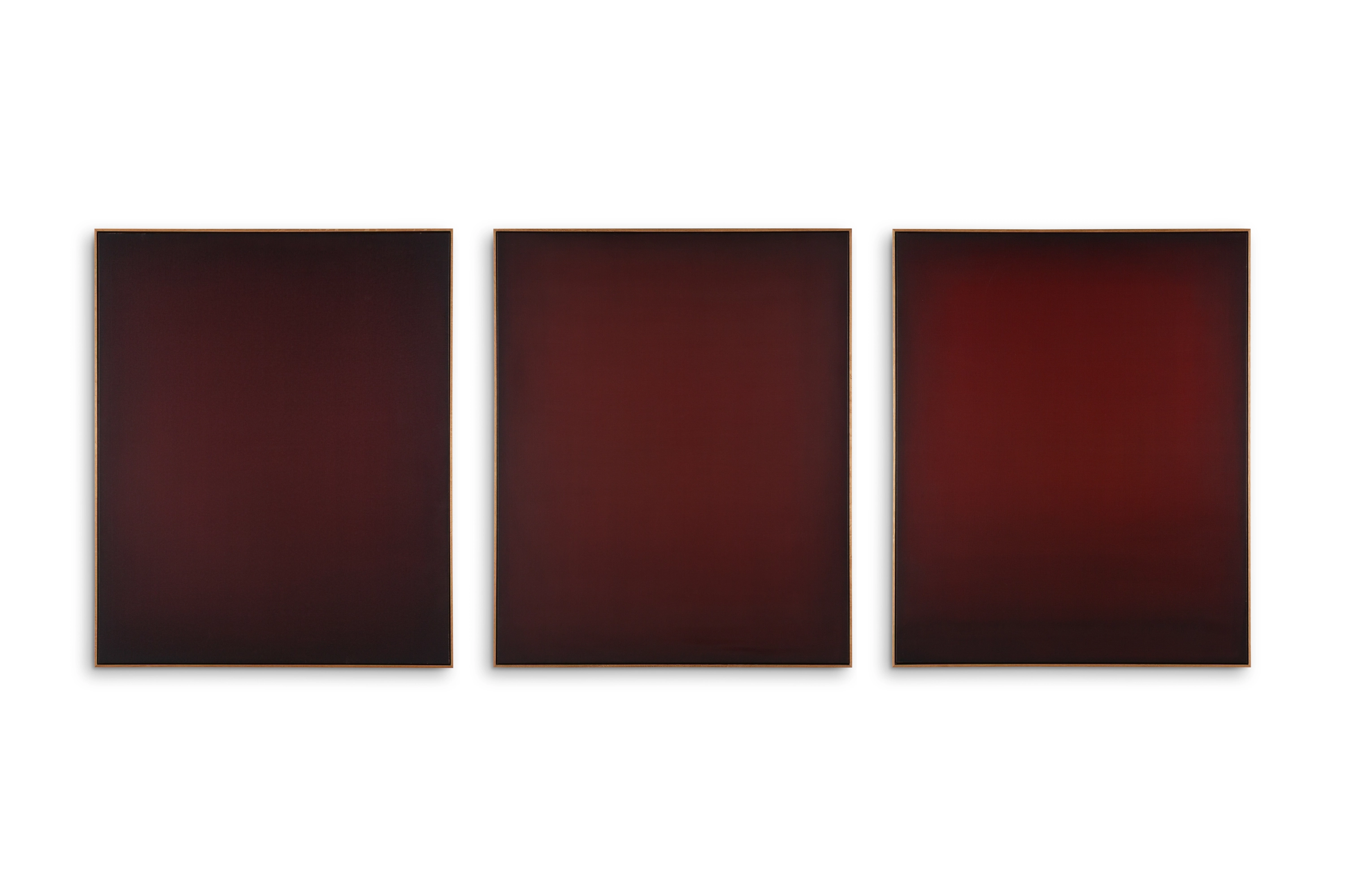 Richard Zinon, Penombra IV, 2026