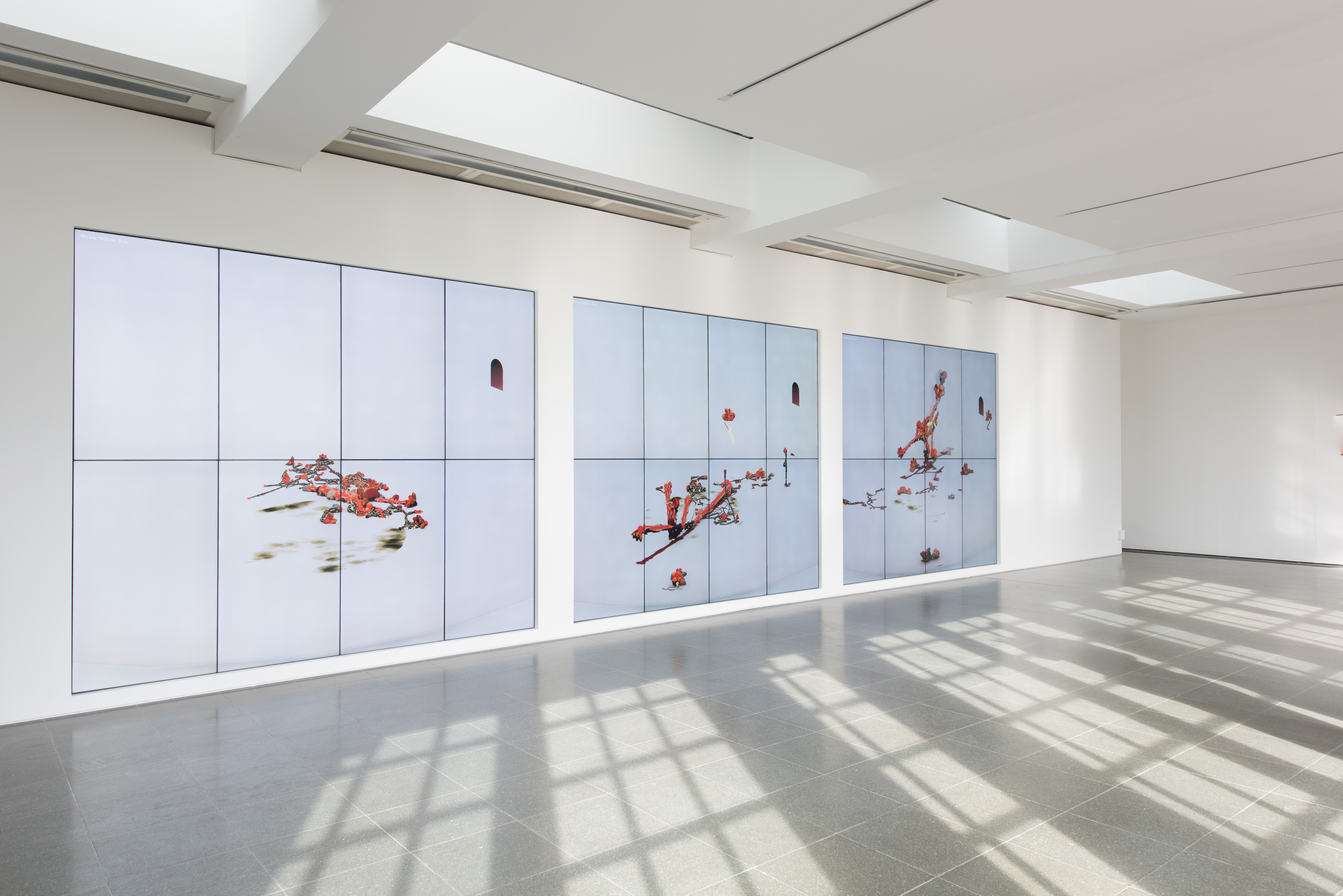 Ian Cheng BOB (Bag of Beliefs)