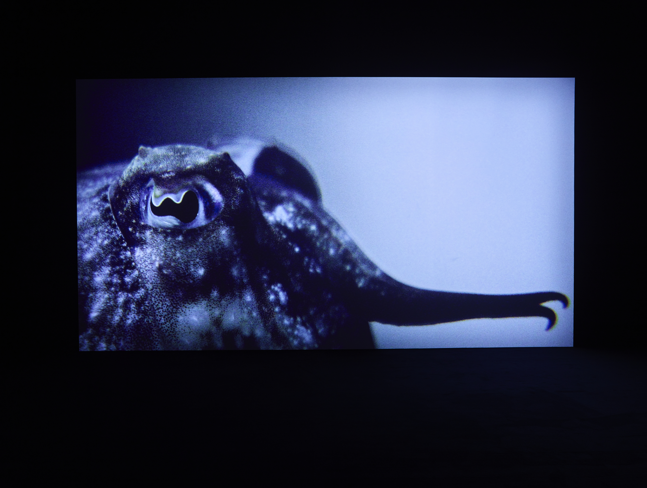 Philippe Parreno In Tune with the World