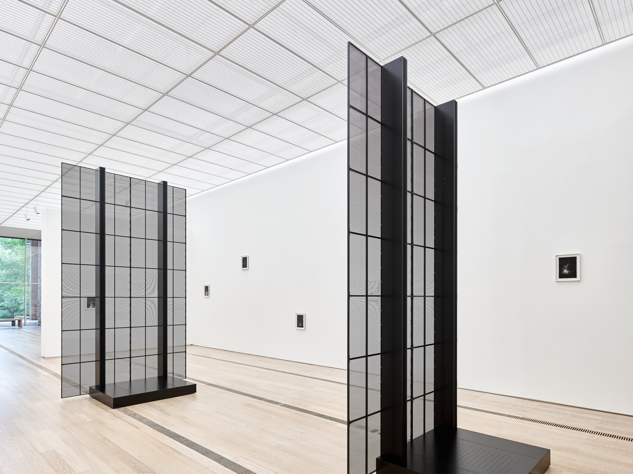 Philippe Parreno Nature Culture