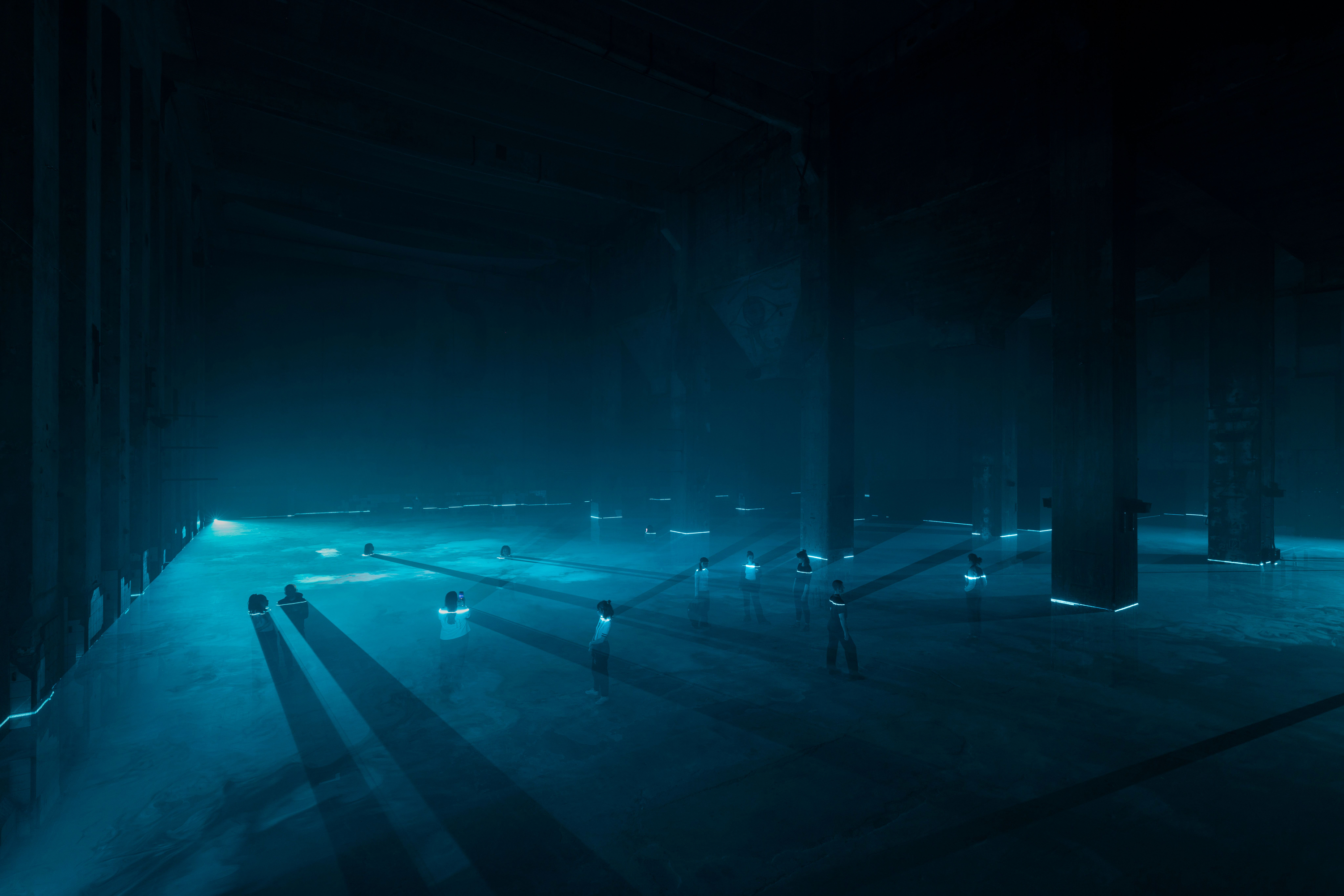 Ian Cheng Life After BOB