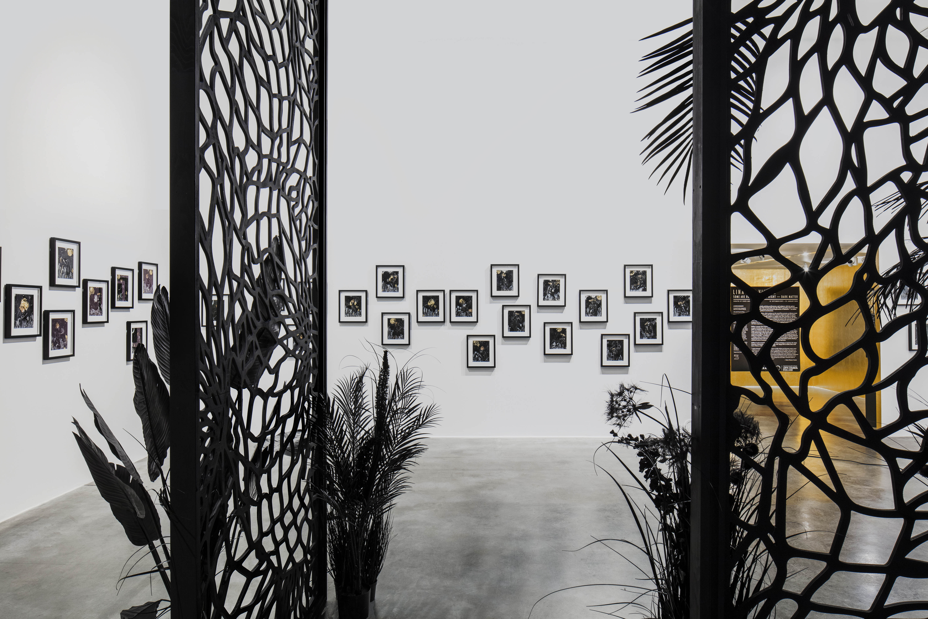 Lina Iris Viktor Some Are Born to Endless Night – Dark Matter