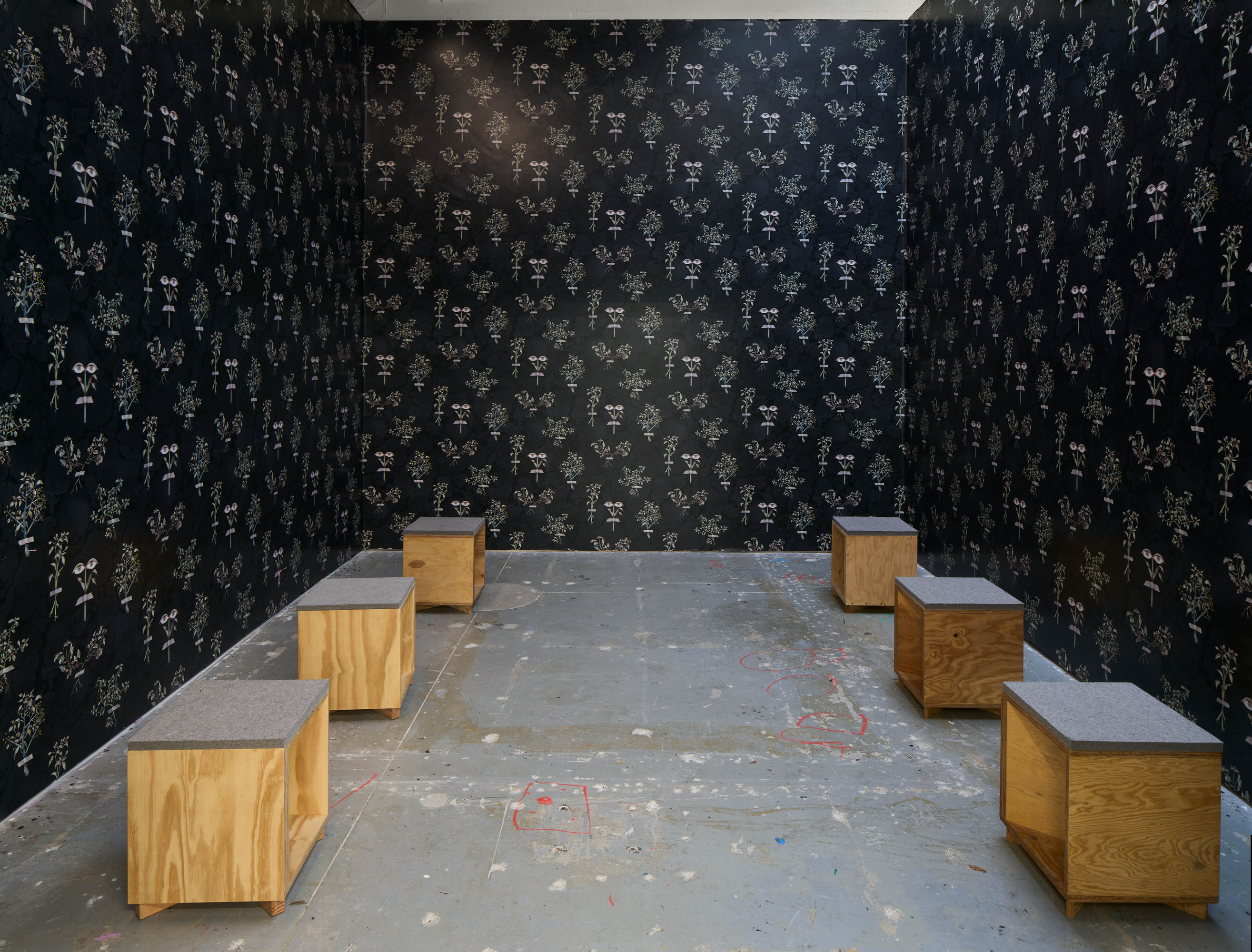 Hayv Kahraman Look Me in the Eyes