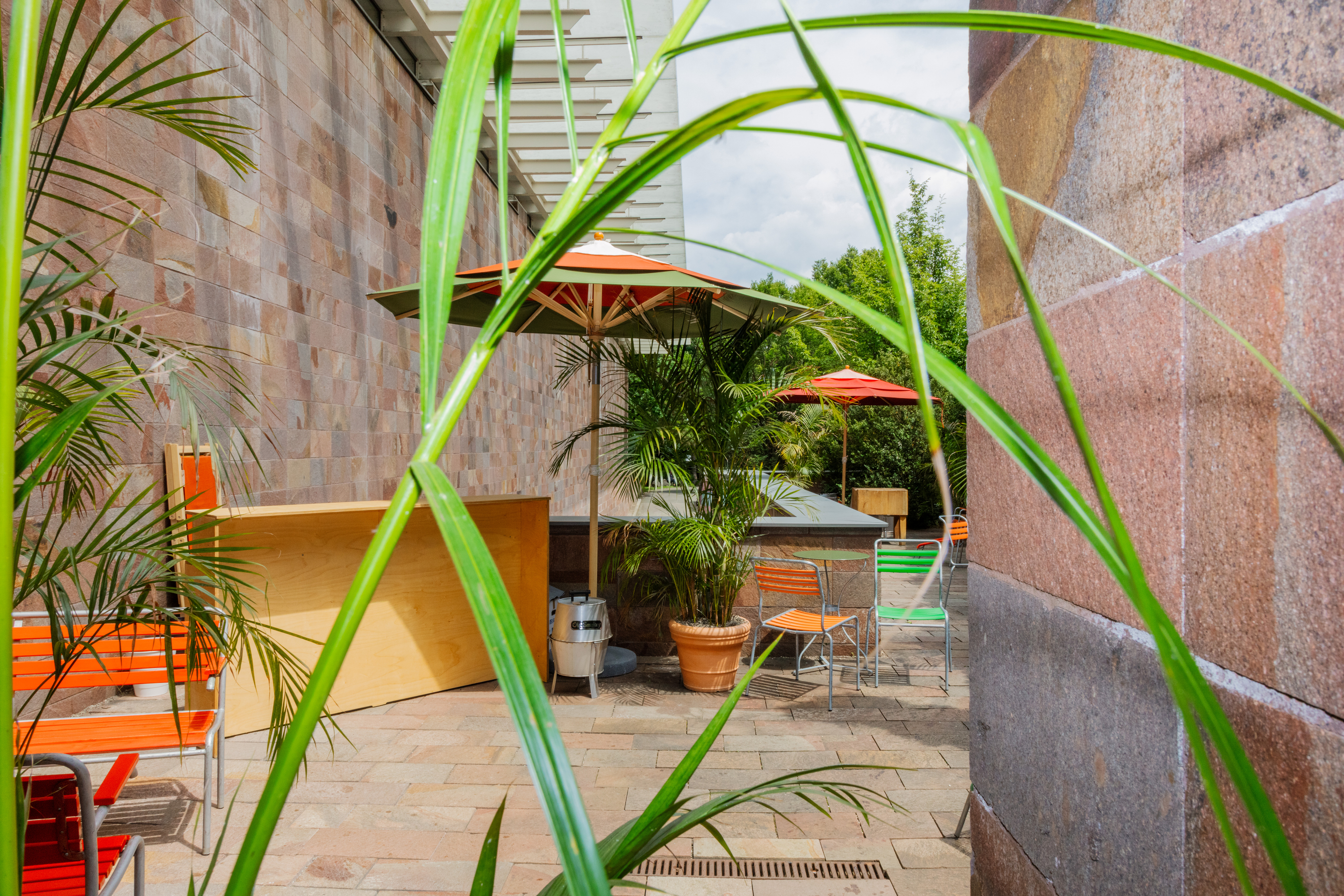 The Richness of Going Slowly