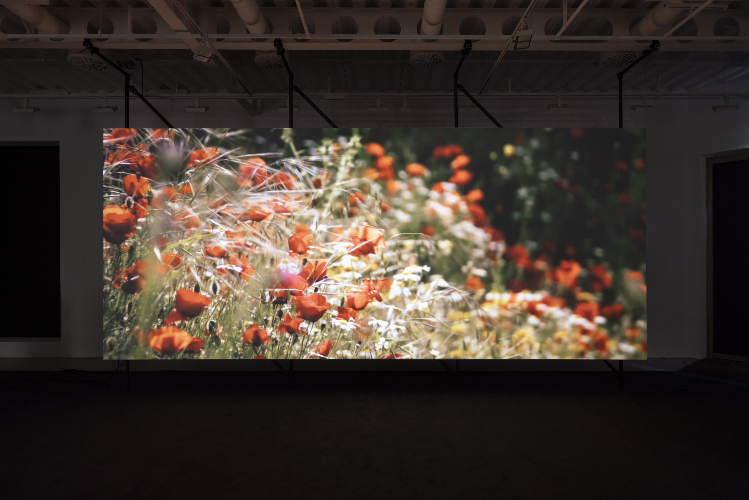 Philippe Parreno El Almendral