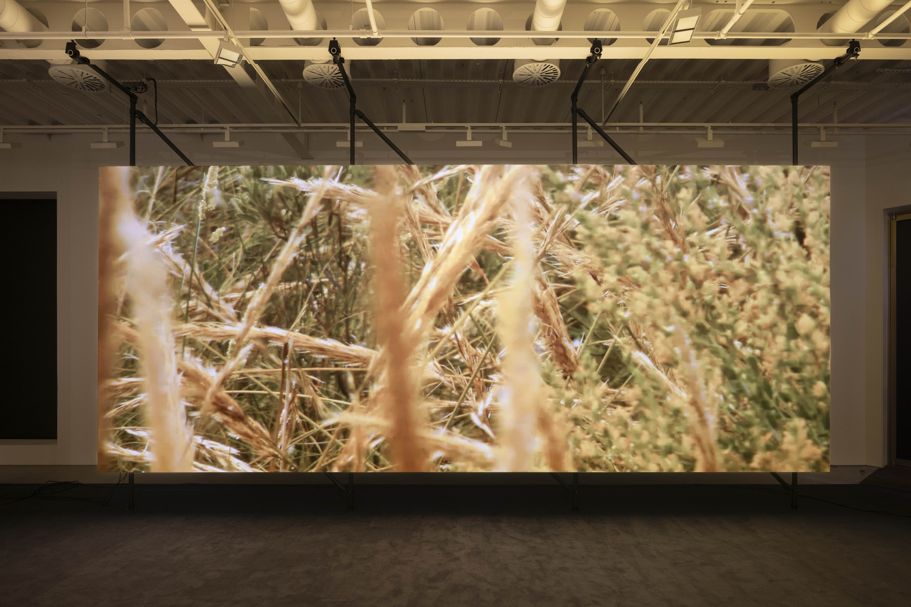 Philippe Parreno El Almendral