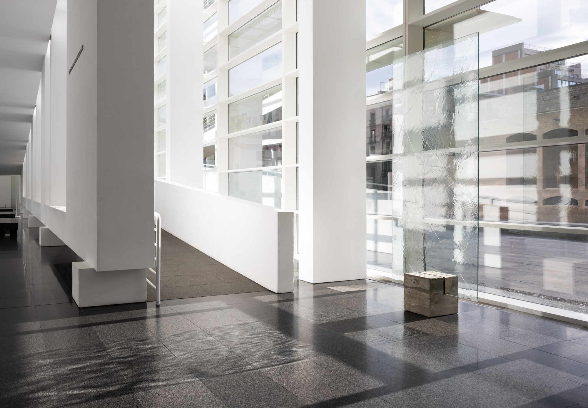 A Leaf Shapes the Eye Daniel Steegmann Mangrané