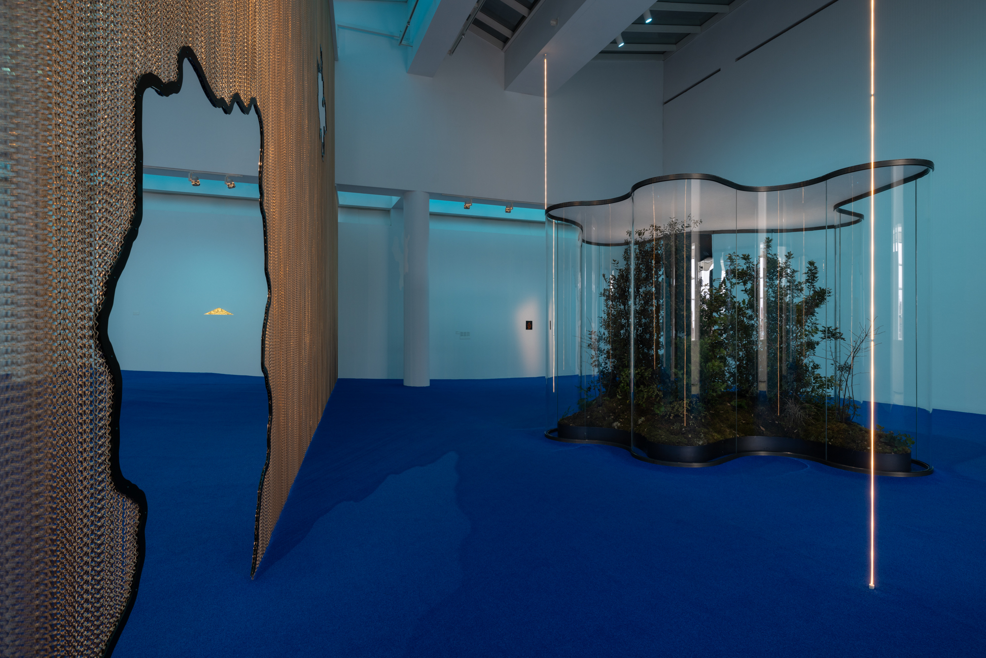 A Leaf Shapes the Eye Daniel Steegmann Mangrané