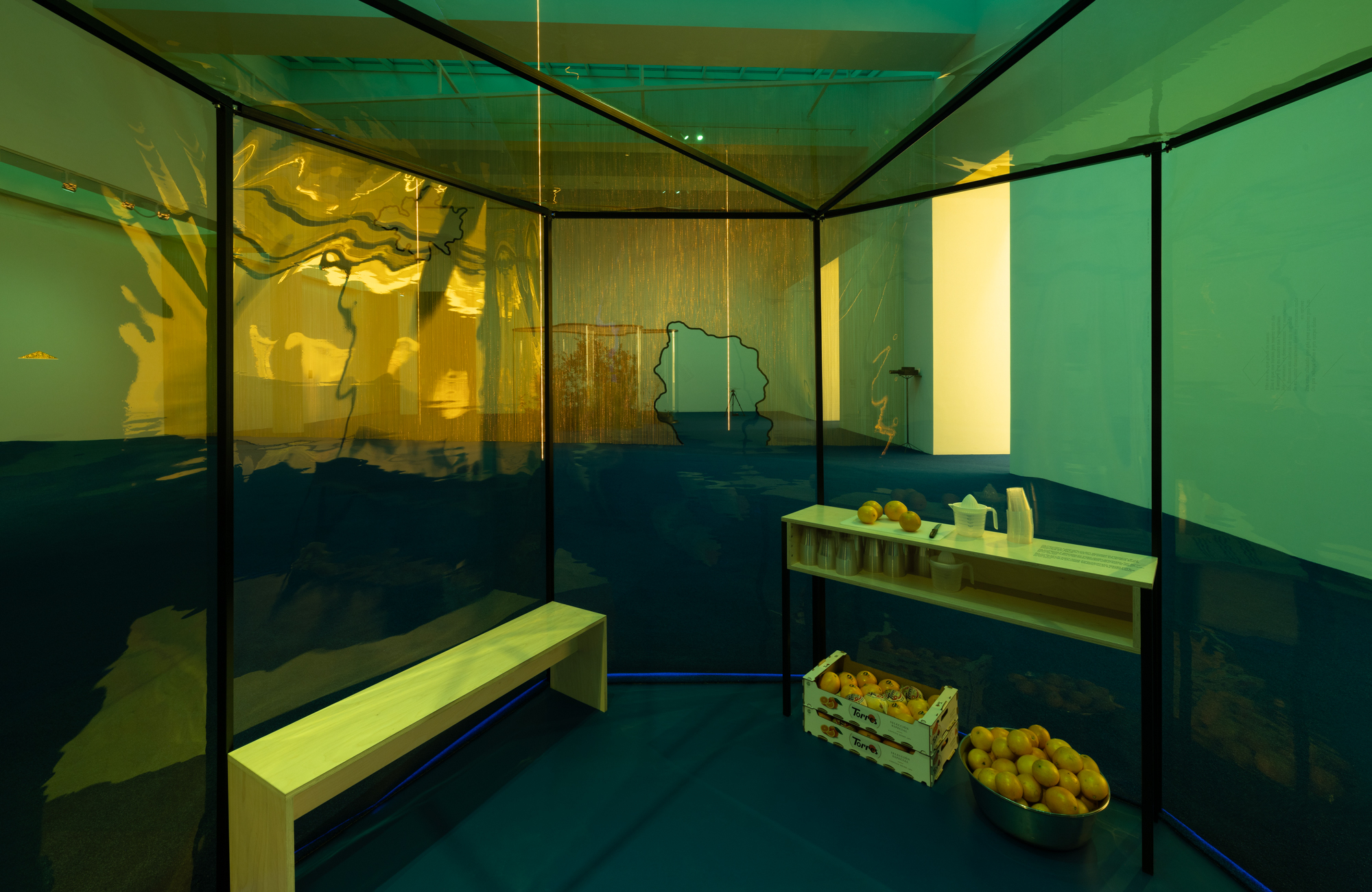 A Leaf Shapes the Eye Daniel Steegmann Mangrané