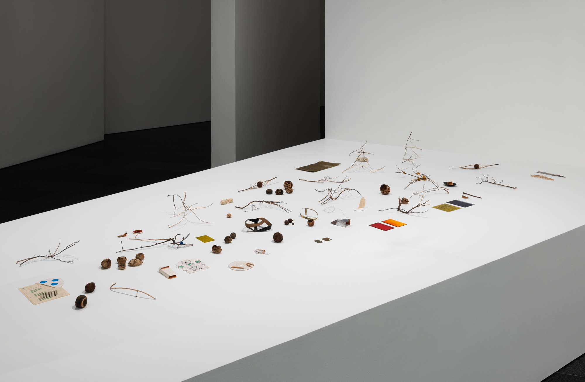 A Leaf Shapes the Eye Daniel Steegmann Mangrané