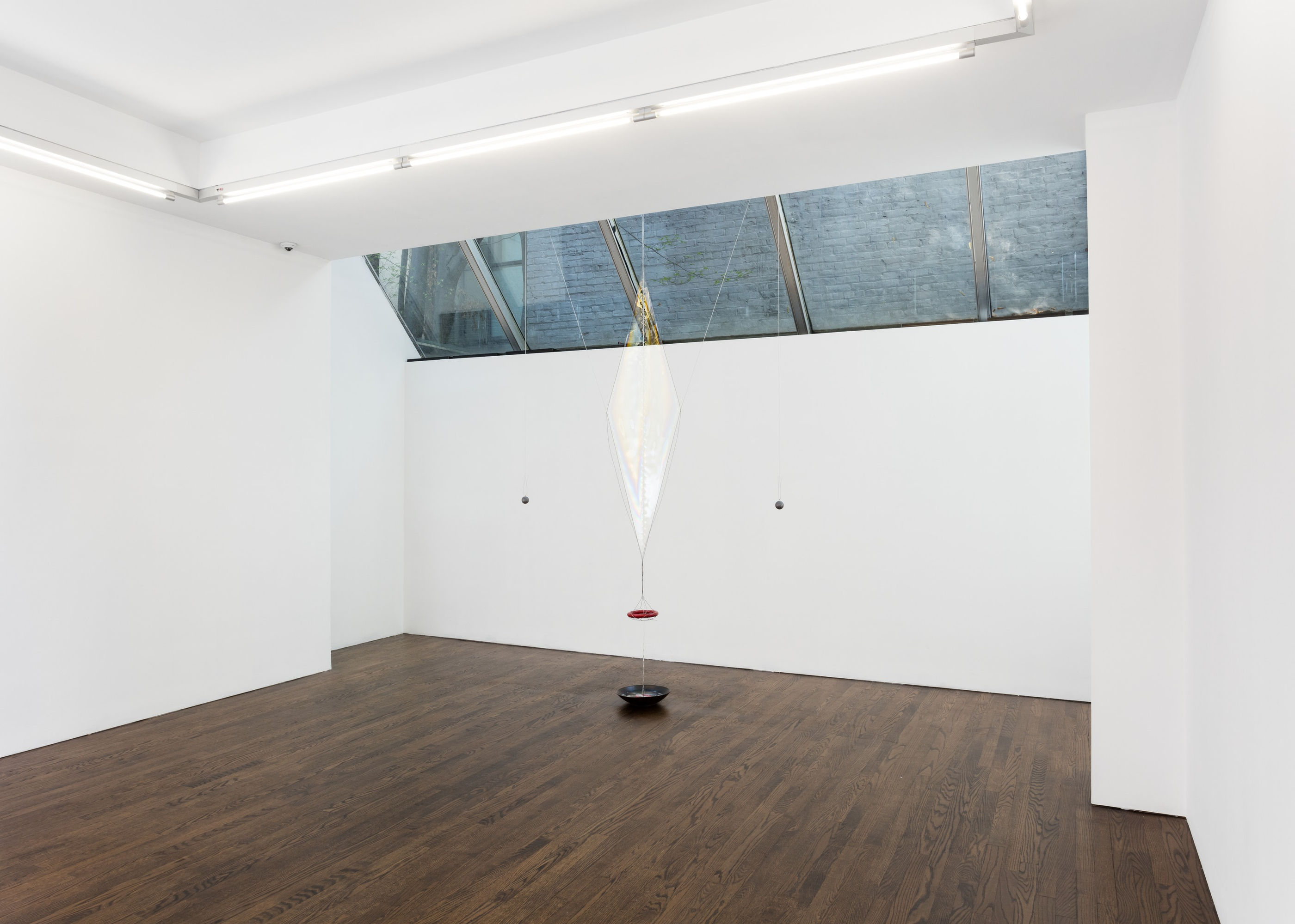 Current Tauba Auerbach