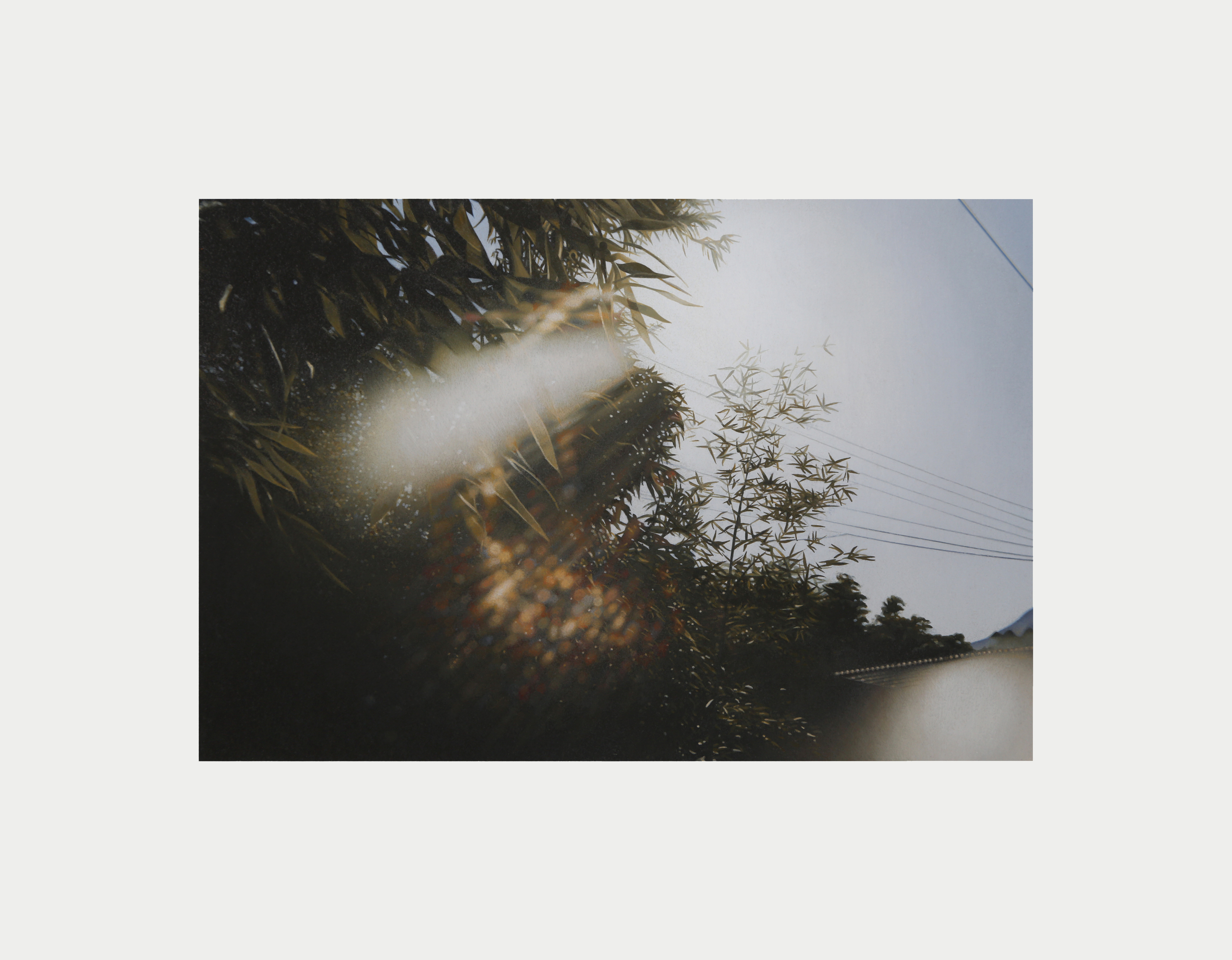 Something or Nothing Andrew Grassie