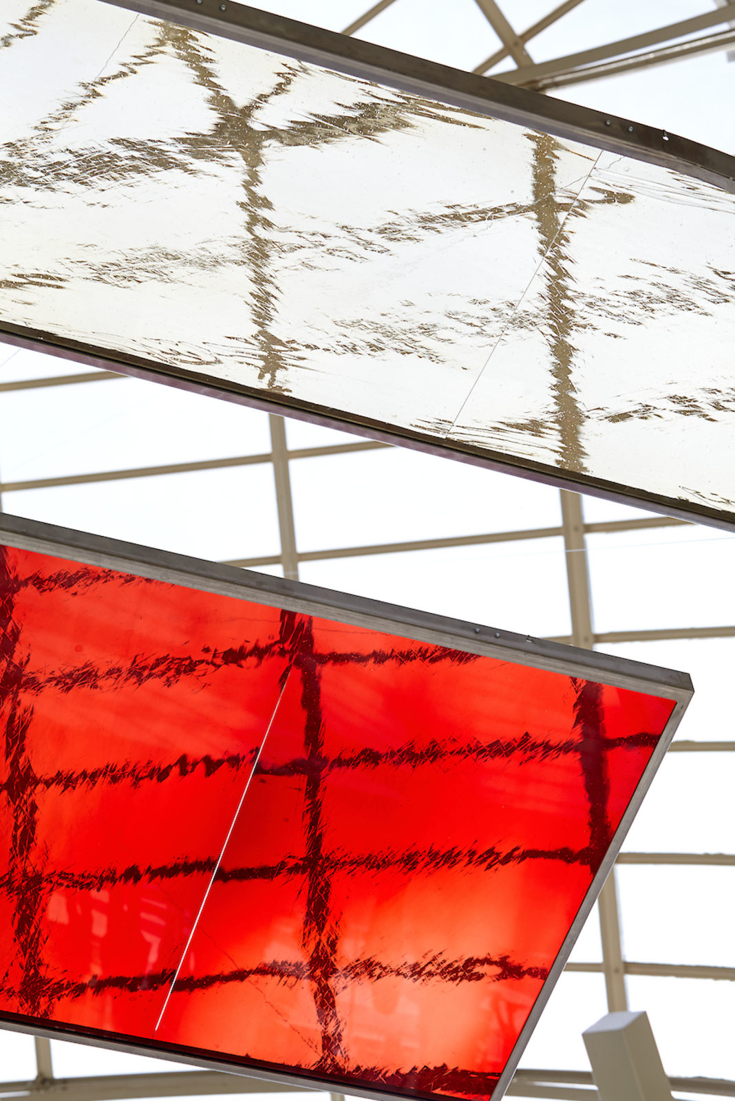 Under the Canopy Rosa Barba