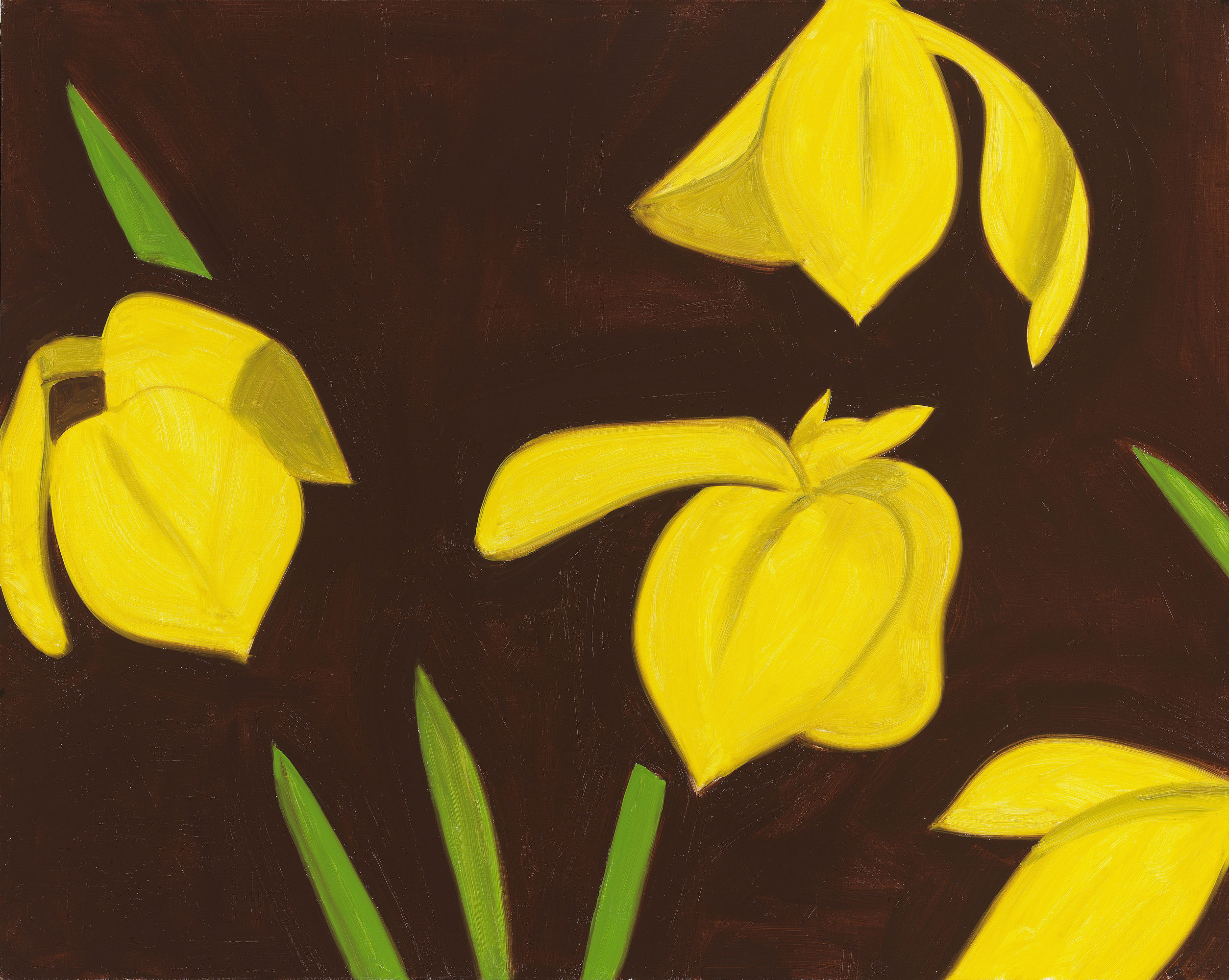 Alex Katz 알렉스 카츠 Flowers 꽃