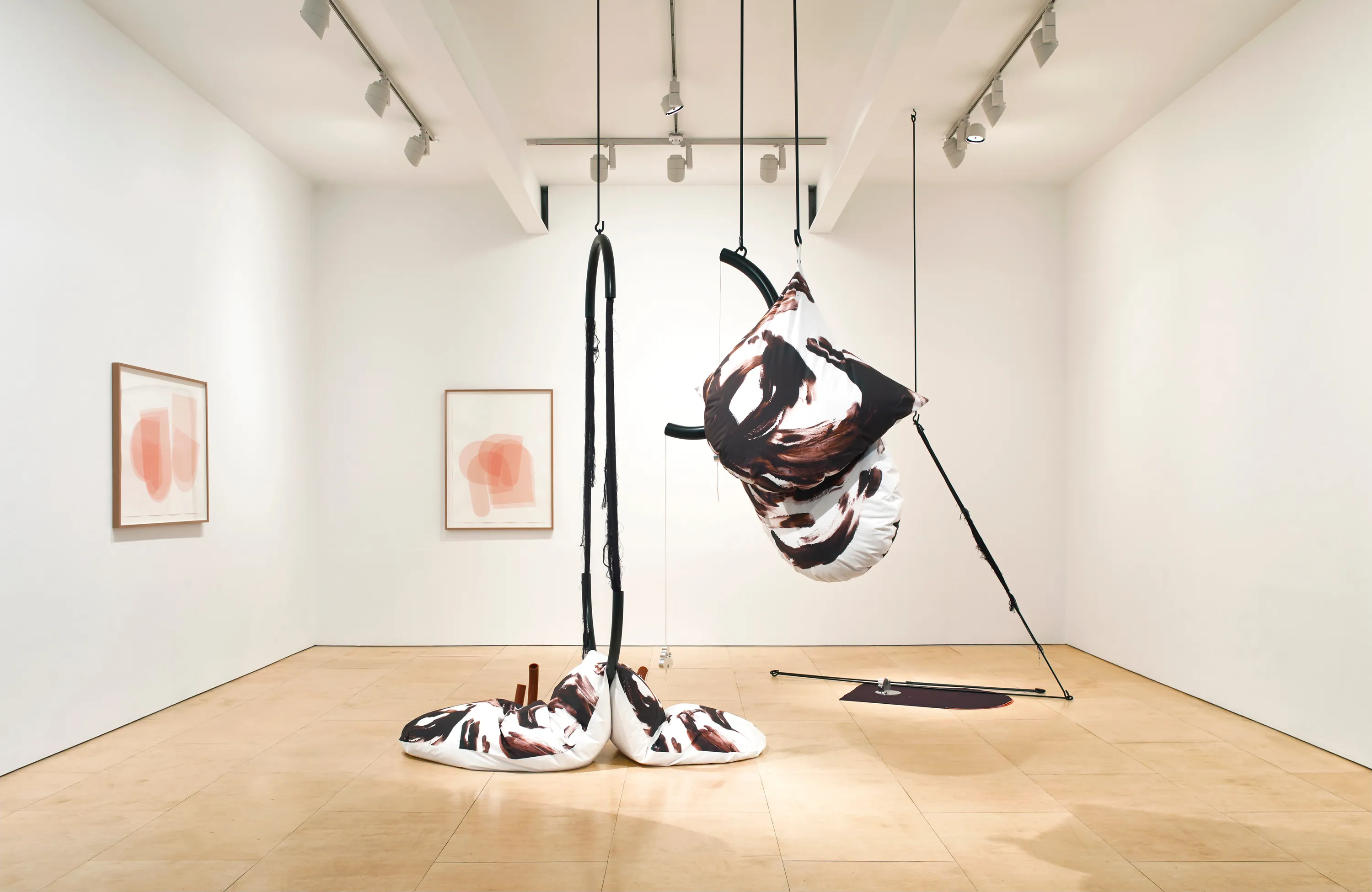 Claire Barclay: Longing Lasting