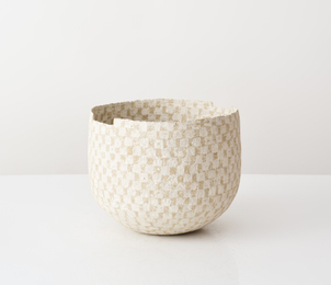 Kati Tuominen-Niittylä