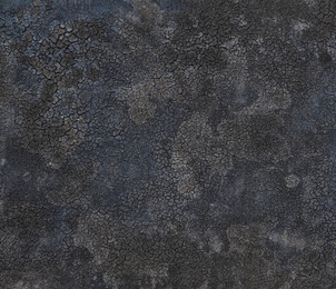 Fernando Casasempere