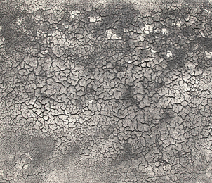 Fernando Casasempere