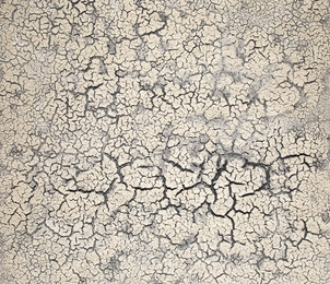 Fernando Casasempere