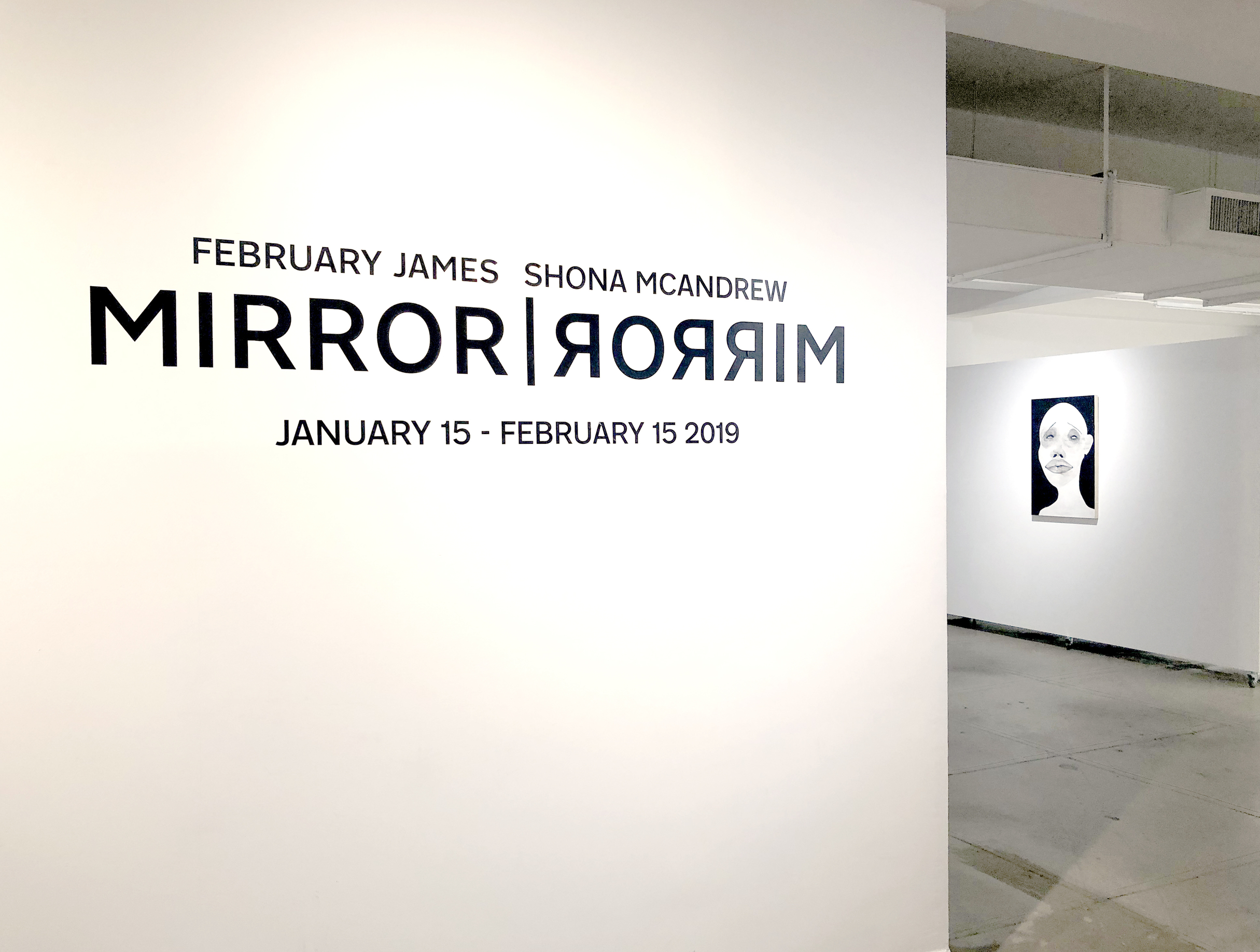 February James Installation view of the exhibition "MIRROR|RORRIM" 2019