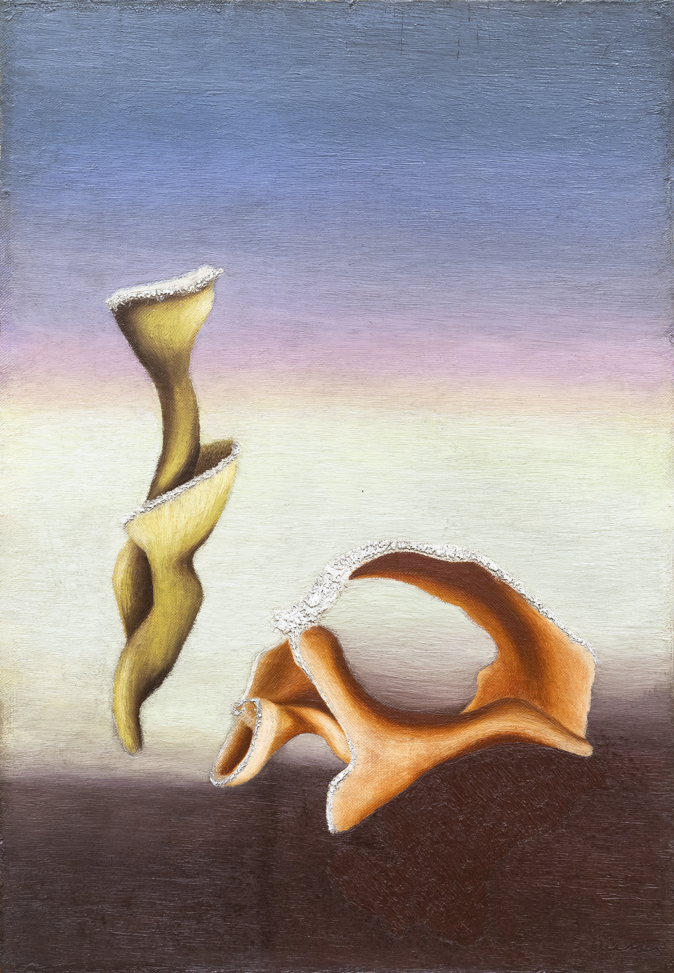 Sari Dienes, Shells, 1935