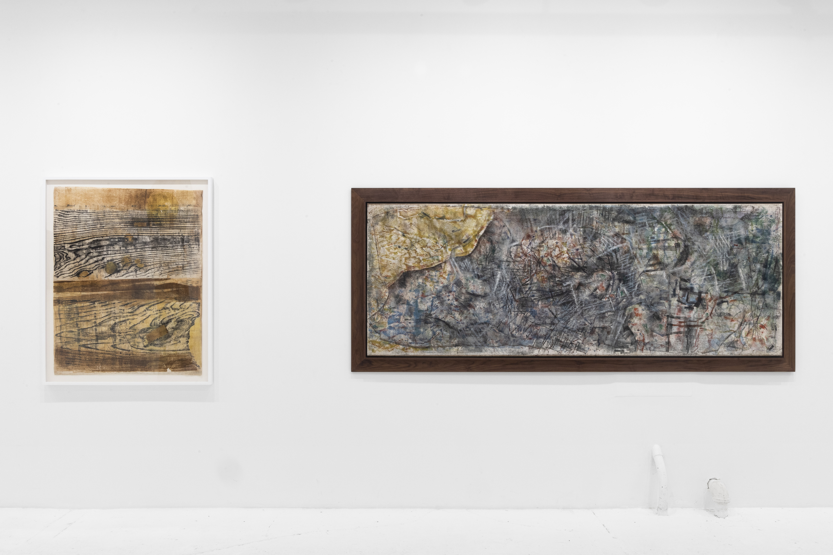 Sari Dienes: Night Eyes