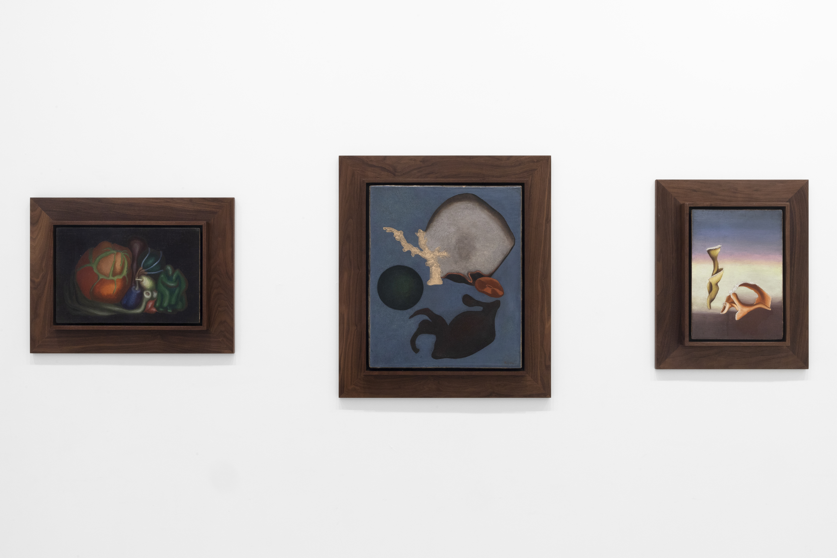 Sari Dienes: Night Eyes