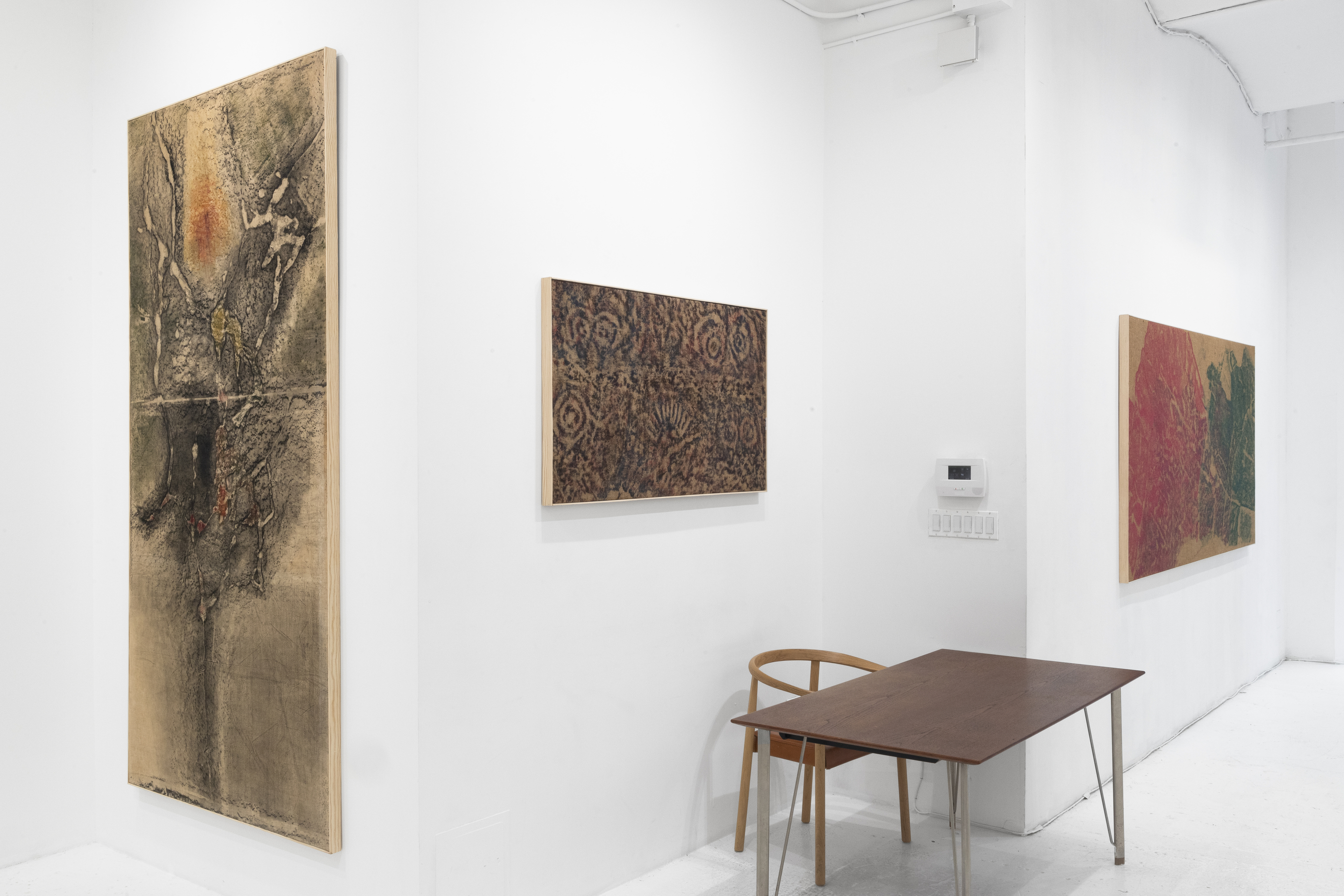 Sari Dienes: Night Eyes