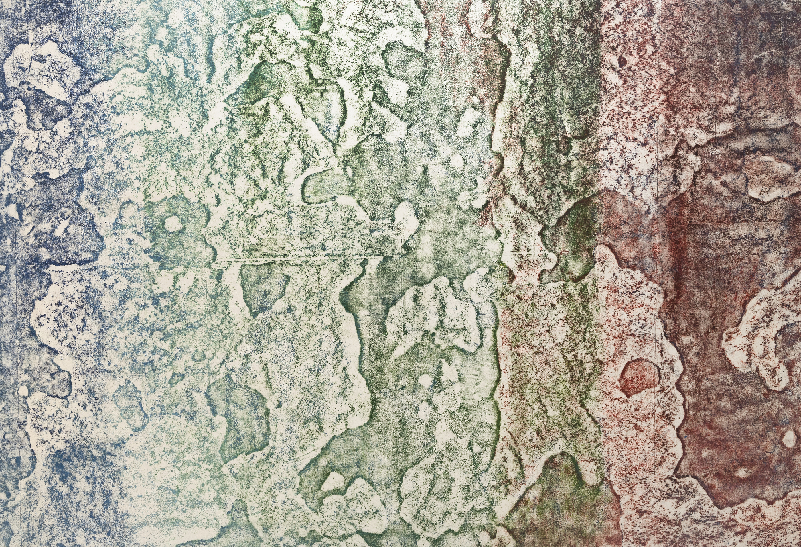 Sari Dienes, Autumn, 1970