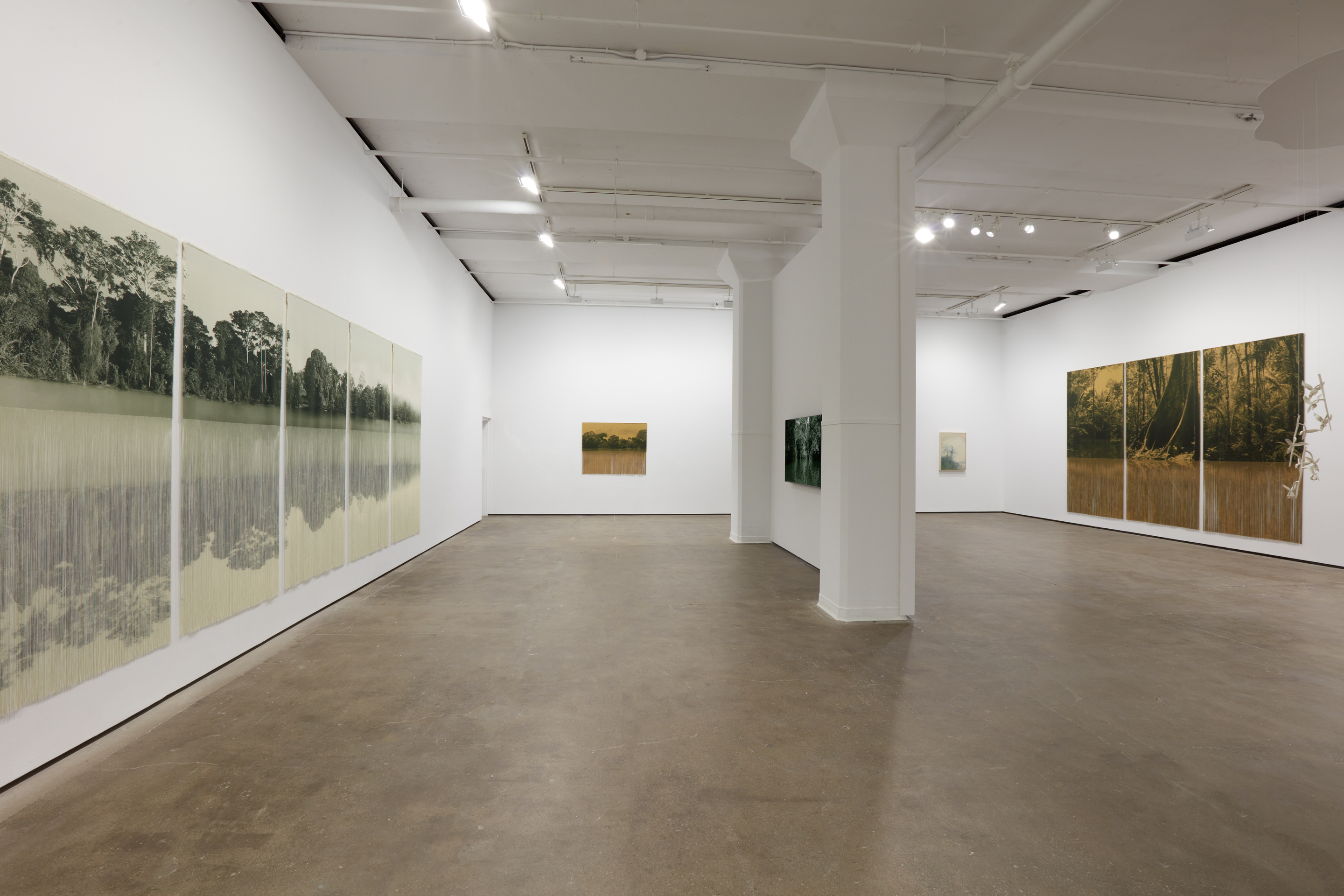 Installation view of&nbsp;Ana Gonz&aacute;lez: R&Iacute;O at Sean Kelly, New York, February 27 &ndash; April 11, 2026, Photography: Jason Wyche, Courtesy: Sean Kelly, New York